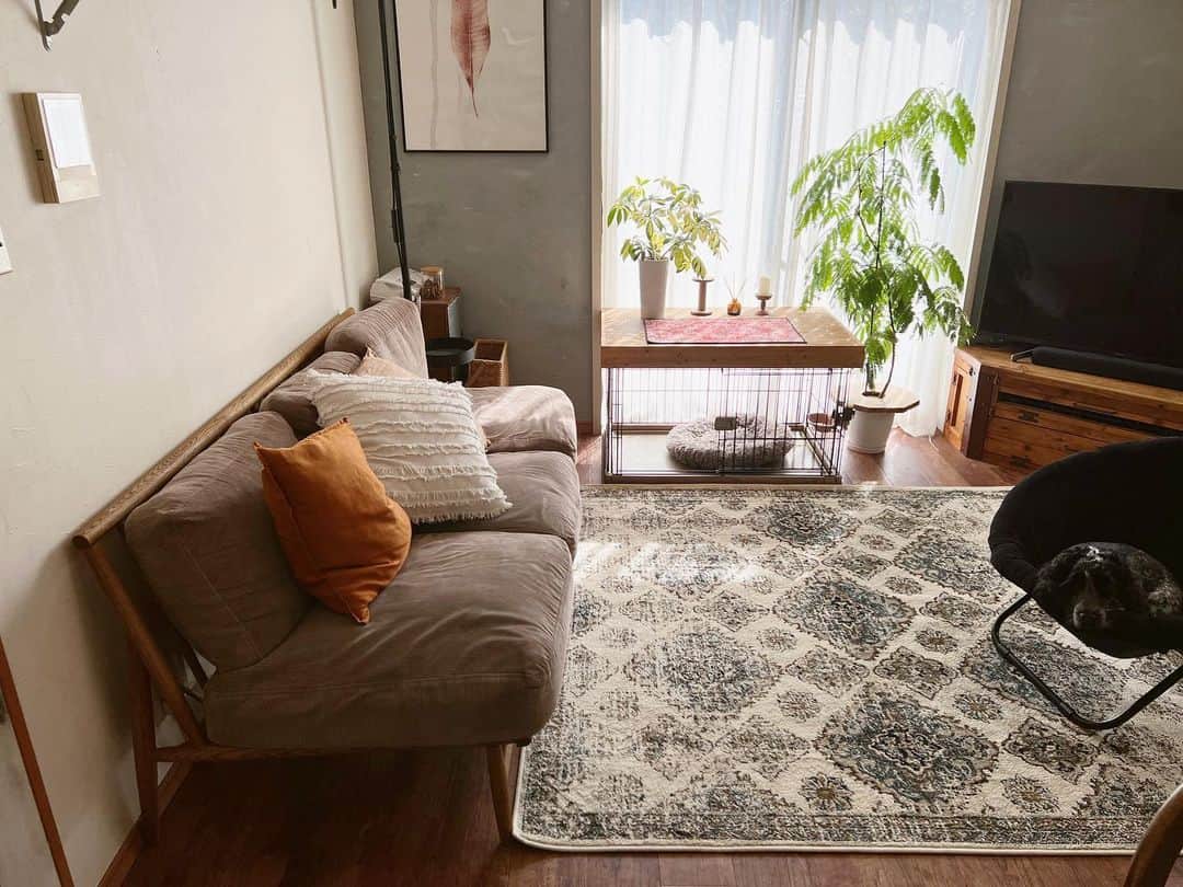 のインスタグラム：「朝晩涼しくなってきたけど日中は まだまだエアコンいりますね  夜中のエアコンはたまに寒く感じるようになってきたから 布団を変えるか、エアコンつけずに寝るか...  最近の悩みです笑  今週も頑張ろ^ ^  #リビングインテリア#ラグ#建売住宅#livingroom#北欧インテリア#暮らし#日々のこと#観葉植物のある暮らし」