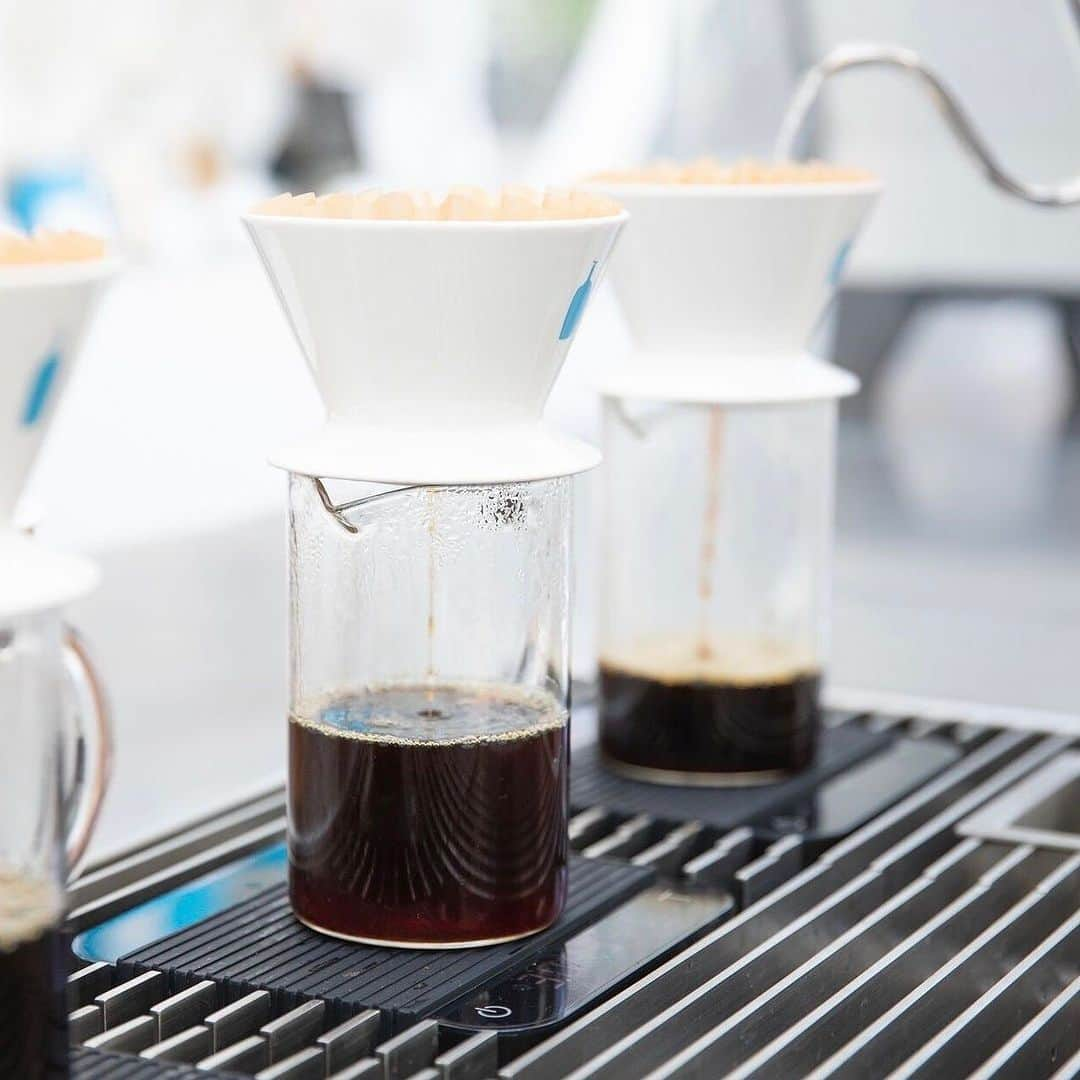 Blue Bottle Coffee Japanさんのインスタグラム写真 - (Blue Bottle Coffee JapanInstagram)「「ブルーボトルコーヒー 神戸阪急カフェ」には外から直接ご注文とお受け取りができるテイクアウト専用のカフェスタンドがあるのをご存知ですか？⁠ ⁠ 神戸阪急カフェは、神戸の街の入口ともいえる神戸阪急の新館 1 階に、館内のカフェと屋外から直接ご注文をいただけるカフェスタンドも備えたタイプのカフェとして昨年の 8月31日にオープンしたました！⁠ ⁠ ⁠ こちらのカフェでは、一杯ずつ丁寧にハンドドリップでご提供するスペシャルティコーヒーを始めとするドリンクメニューはもちろん、サンドイッチや神戸阪急カフェ限定のソフトクリームなどのフードメニューをご提供し、1 日を通してご利用いただけるメニューをご用意しております✨⁠ ⁠ ⁠ 広々とした店内には、ソファ席もあり、ゆったりとお寛ぎいただきながらコーヒーをお楽しみいただけます。⁠ ⁠ 通勤途中や、魅力ある神戸の街並みを散策する観光の出発点としても、ぜひお気軽にお」立ち寄りください！⁠ ⁠ ⁠ ーーーーーーーーーー⁠ 神戸阪急カフェ⁠ 住所：神戸市中央区小野柄通 8 丁目 1 番 8 号 神戸阪急新館 1 階⁠ アクセス：JR 三ノ宮駅・阪急神戸三宮駅・ 阪神神戸「三宮駅」より徒歩約 1 分⁠ 営業時間：10:00−19:00⁠ ⁠ ＊8:00-10:00 はコーヒースタンドのみ営業。⁠ ＊8:00-10:00 の間は、フードメニューを一部縮小してご提供いたします。⁠ ーーーーーーーーーー⁠ ⁠ ⁠ ⁠ #ブルーボトルコーヒー⁠ #ブルーボトルコーヒー神戸阪急⁠ #ブルーボトルインスタントコーヒー⁠ #BlueBottleCoffee⁠ #BlueBottleCoffeeKobeHankyu⁠ #BlueBottleInstantCoffee」9月19日 8時26分 - bluebottlejapan