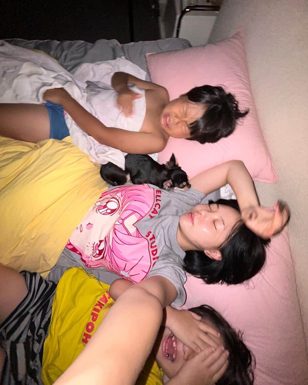 ホン・ヨンギさんのインスタグラム写真 - (ホン・ヨンギInstagram)「엄마품에서 자고싶은 세마리 이게 행복이겠죠…………………….. 그와중에 내 피부만 광 ㅋㅋㅋㅋㅋㅋㅋㅋㅋ💕💕」9月19日 9時12分 - kisy0729