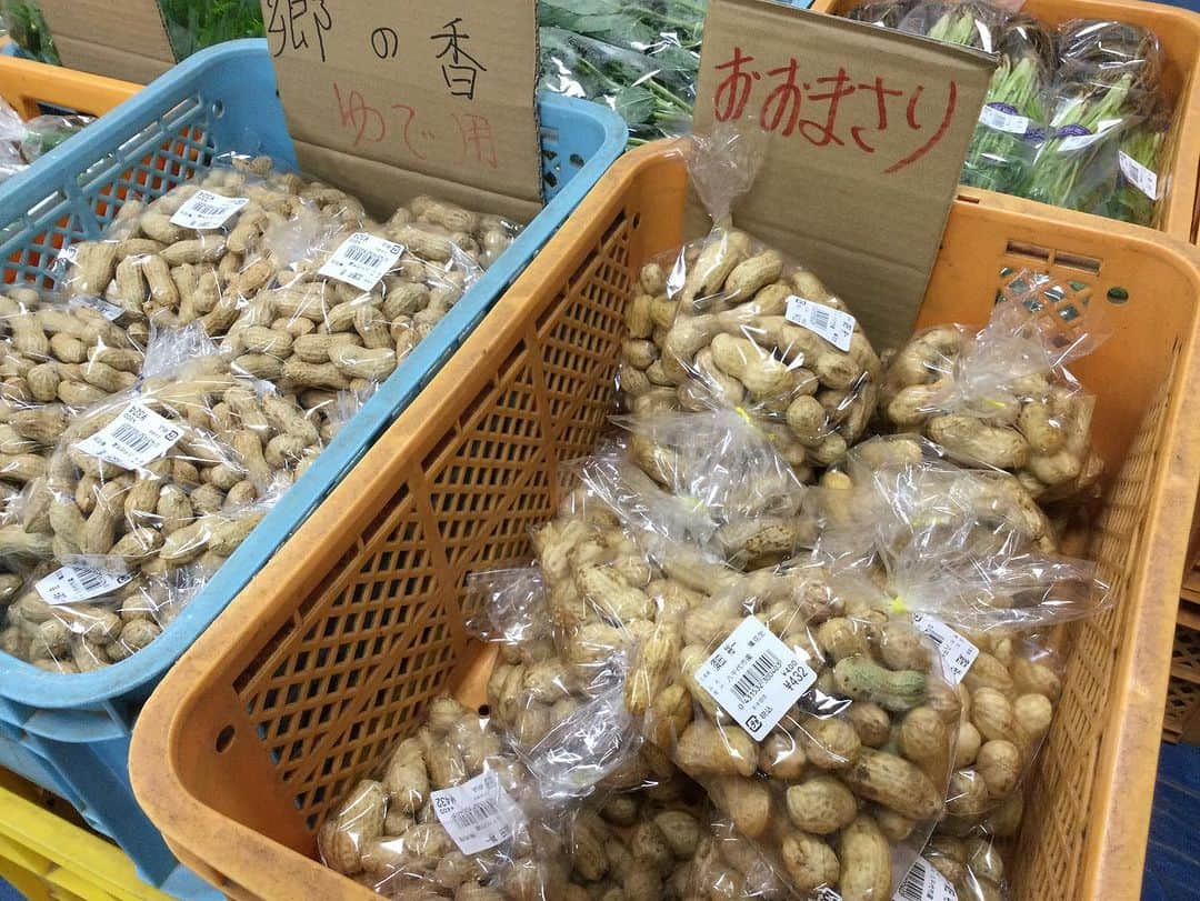 道の駅やちよさんのインスタグラム写真 - (道の駅やちよInstagram)「人気のオオマサリ‼️ 入荷してきてまーす✨  茹でて食べると食べ応えも有り、甘くて美味しいです！ 茹で時間は30分ぐらいで、塩はお好みで落花生の2〜4%加えてください。  是非お試しください🙇‍♀️  #お出かけ #道の駅 #道の駅やちよ #道の駅めぐり #地産地消 #農産物直売所 #新鮮野菜 #野菜好き #野菜たっぷり #買い物 #おおまさり   #休憩 #やちよ農業交流センター」9月19日 9時41分 - michinoeki_yachiyo090720