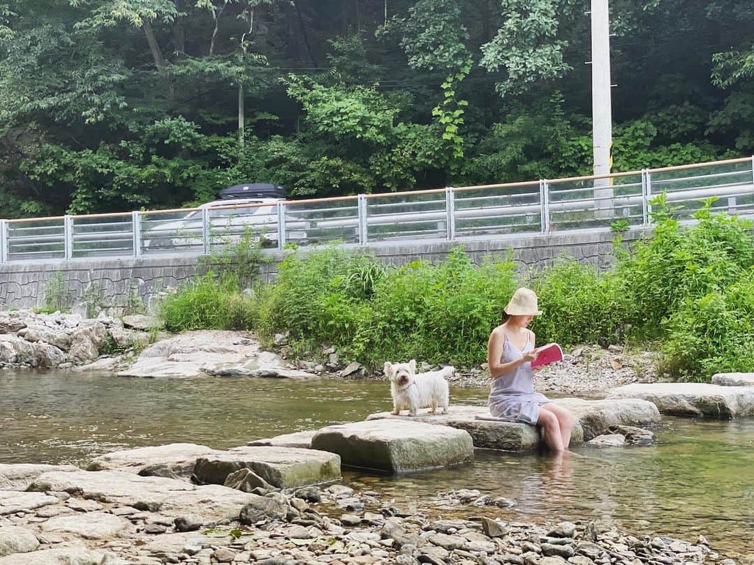 ユン・ジンソのインスタグラム：「아침에 읽은 시 🌿🐢  거북의 인내, 꿋꿋함,  자신이 태어난 목적을  완수하겠다는 그 결의에 대해 생각하다가  더 큰 깨달음을 얻지─  거북은 자신이 태어난 목적을  생각하지 않는다는 것.  거북은 그저  높은 언덕을 기어오르고,  모래에 파묻혀 빛나지.  거북은 꿈을 꾸지 않지,  거북은 알지,  자신이 연못의 일부임을,  키 큰 나무들은 자신의 아이들이고,  위에서 헤엄치는 새들은  끊어지지 않는 끈으로 자신에게 묶여 있음을.  기러기 : 메리 올리버 시선집 중 거북에서 발췌 🪹🪸  바다거북이 지구온도가 올라가며 멸종위기에 놓일 수도 있다고 하는데 너무나 슬프네요.  오늘만 이라도 분리수거, 고기금식 , 걷기 처럼 할 수 있는 지구와 나만의 사랑을 베풀어 보세요:) 아무도 몰라도 괜찮아요. 지구랑 나와의 시간- 이잖아요🤍  #메리올리버 #시 #거북이 #지구온난화」