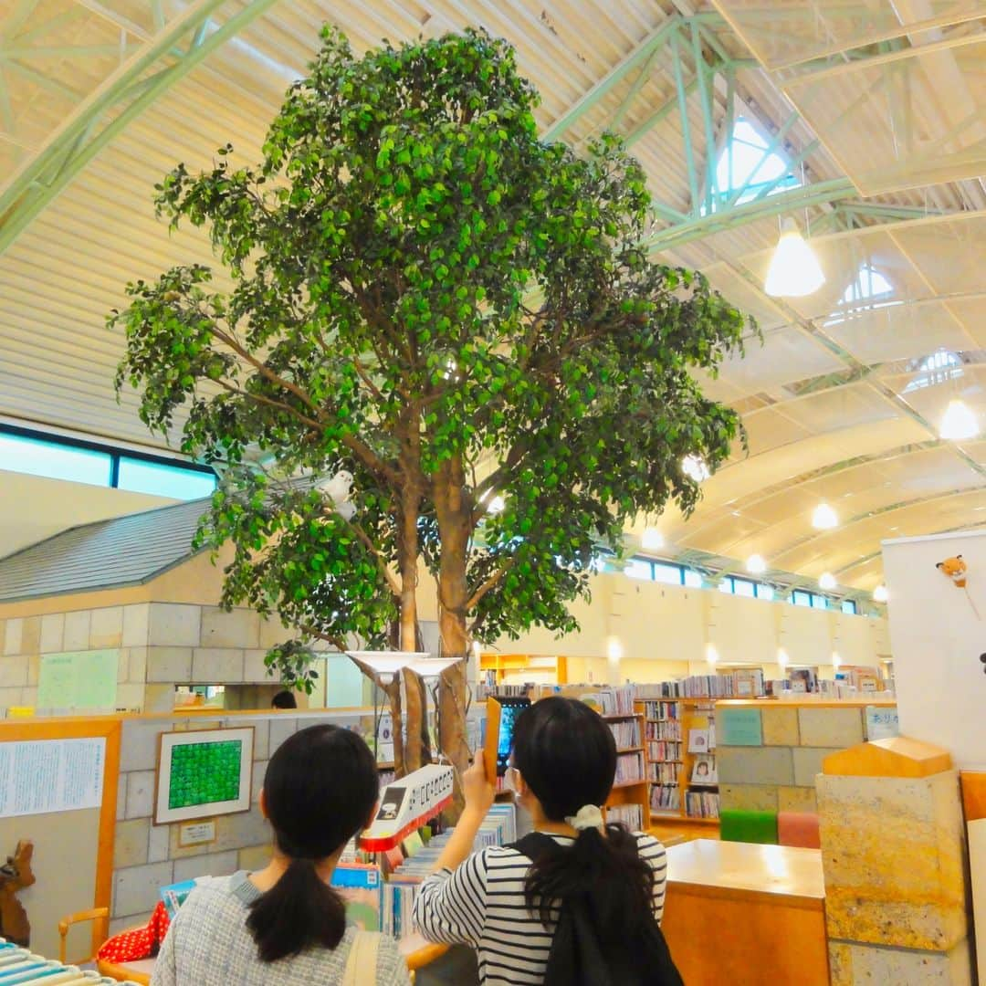 福岡女子短期大学さんのインスタグラム写真 - (福岡女子短期大学Instagram)「💠文化教養学科「学科特別研修」  文化教養学科では、9月15日（金）「学科特別研修」として、佐賀県内にある『伊万里市図書館』『武雄市図書館』を訪問しました。  【伊万里市図書館】 佐賀県伊万里市立花町４１１０−１  伊万里市民図書館は佐賀県伊万里市に設置されている公共図書館である。市民と行政が一緒に建設や運用について考え実行していることや、図書館ボランティアを全国に先駆けて進めるなど、様々な先進的活動で知られる。（出典：Wikipedia）  【武雄市図書館】 @takeo_city_library  佐賀県武雄市武雄町大字武雄５３０４−１  武雄市図書館・歴史資料館は、佐賀県武雄市が条例で設置を定めた、図書館と歴史資料館などで構成される市立の複合施設である。2000年10月1日開館。 図書館部分では2013年から指定管理者制度により、カルチュアコンビニエンスクラブが指定管理者となっている。（出典：Wikipedia)  --✂︎---------------------  #福岡女子短期大学 #福女短　#文化教養学科 #福岡女子短期大学文化教養学科 #図書館司書　#司書の卵 #本が好きな人と繋がりたい #図書館好きな人と繋がりたい #司書採用者全国トップクラス   -------------------------」9月19日 10時34分 - fukuoka_wjc