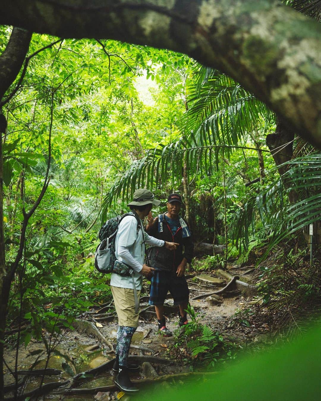 井浦新さんのインスタグラム写真 - (井浦新Instagram)「_ Into the Jungle 🌴🌿🦜🕸🦇🌿🌴 Guided by Island Legend  🧭： @iriomote_umanchu_cafe  📸： @kentaaminaka_portrait  👕： @mightry_elnest   #イリウムトゥの夕べ  #西表島」9月19日 10時46分 - el_arata_nest