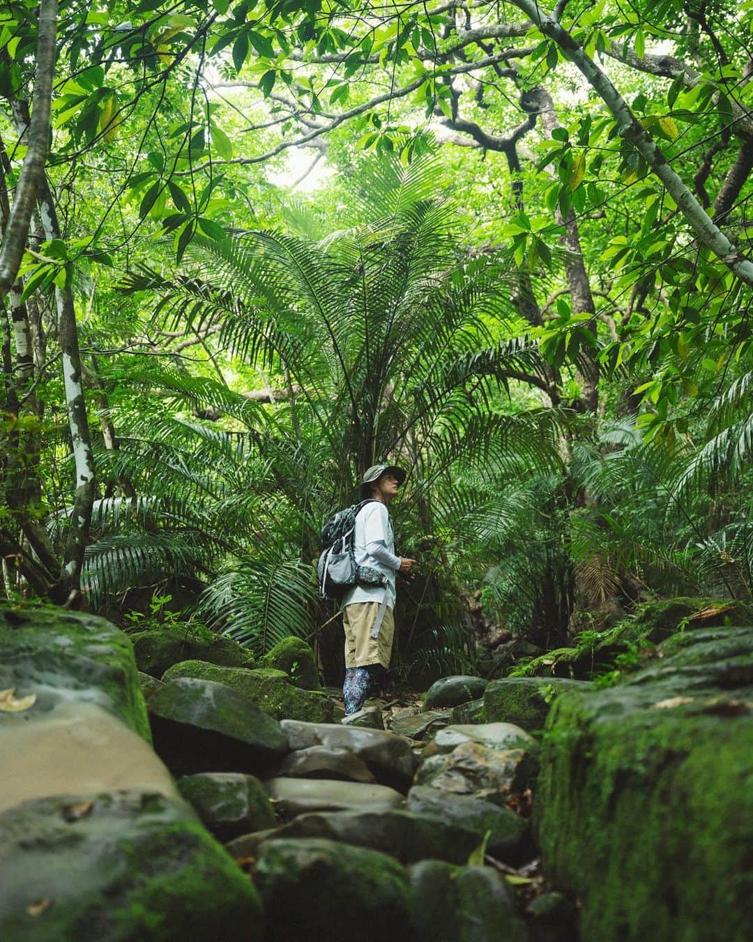 井浦新のインスタグラム：「_ Into the Jungle 🌴🌿🦜🕸🦇🌿🌴 Guided by Island Legend  🧭： @iriomote_umanchu_cafe  📸： @kentaaminaka_portrait  👕： @mightry_elnest   #イリウムトゥの夕べ  #西表島」