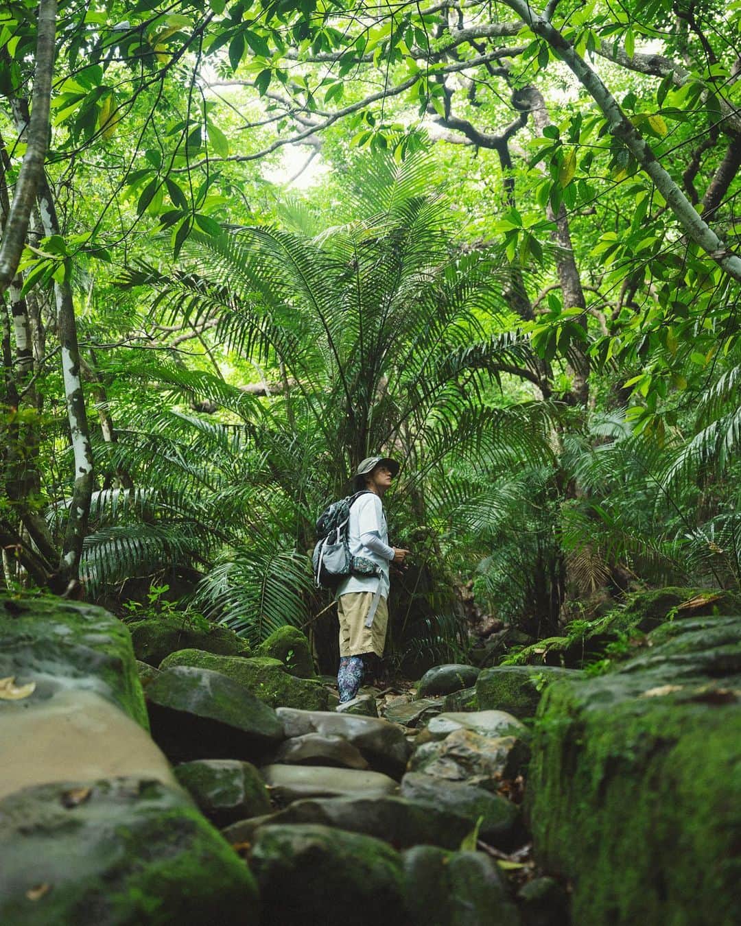 のインスタグラム：「_ Into the Jungle 🌴🌿🦜🕸🦇🌿🌴 Guided by Island Legend  🧭： @iriomote_umanchu_cafe  📸： @kentaaminaka_portrait  👕： @mightry_elnest   #イリウムトゥの夕べ  #西表島」