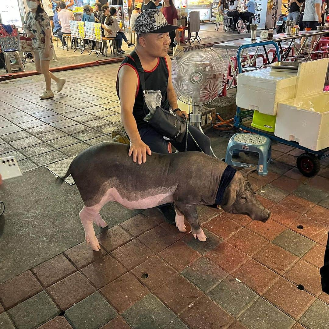 ライナ・ホワンさんのインスタグラム写真 - (ライナ・ホワンInstagram)「Explored Ning Xia Night market in Taiwan 🇹🇼 with my cousin @zermattneo and met some fans out here 🥰🥰  watch my vlog here—> https://youtu.be/HTOLIaPoLAY?si=5cw_rDu8Cv55TK-9」9月19日 11時02分 - rainaiscrazy