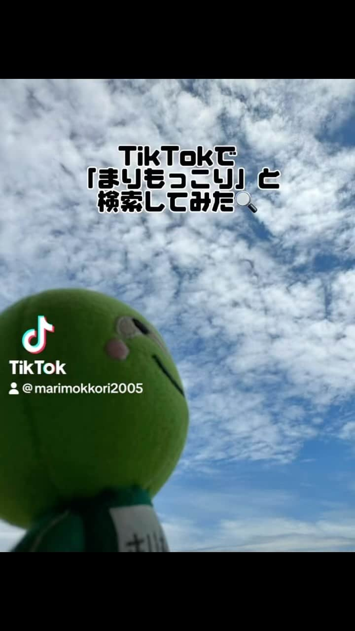 まりもっこりのインスタグラム：「どうやらTikTokさんのAIには嫌われてるようだ。声出して笑ったわ🤣  #まりもっこり」