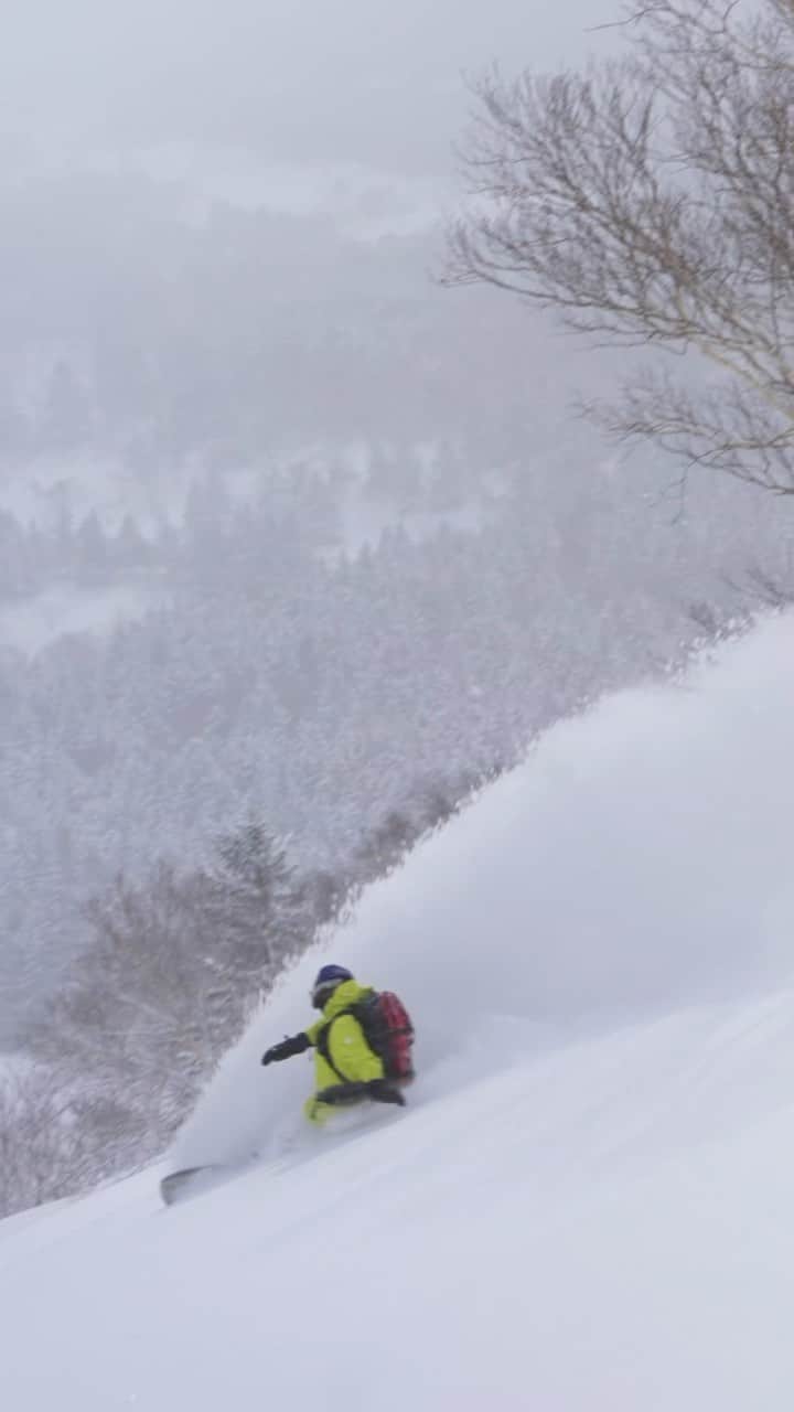 佐藤亜耶のインスタグラム：「降り積もったばかりの柔らかな雪 長くスプレー残る極上モーニングラン Rider @aya_sato_49 🎥 @heart_films  @thenorthfacejp @msrgear_japan @k2.snowboarding @dragon_japan #snowboarding #freeride #japow #スノーボード #パウダースノー #フリーライド  Heart Films Movies https://heartfilms.official.ec/」