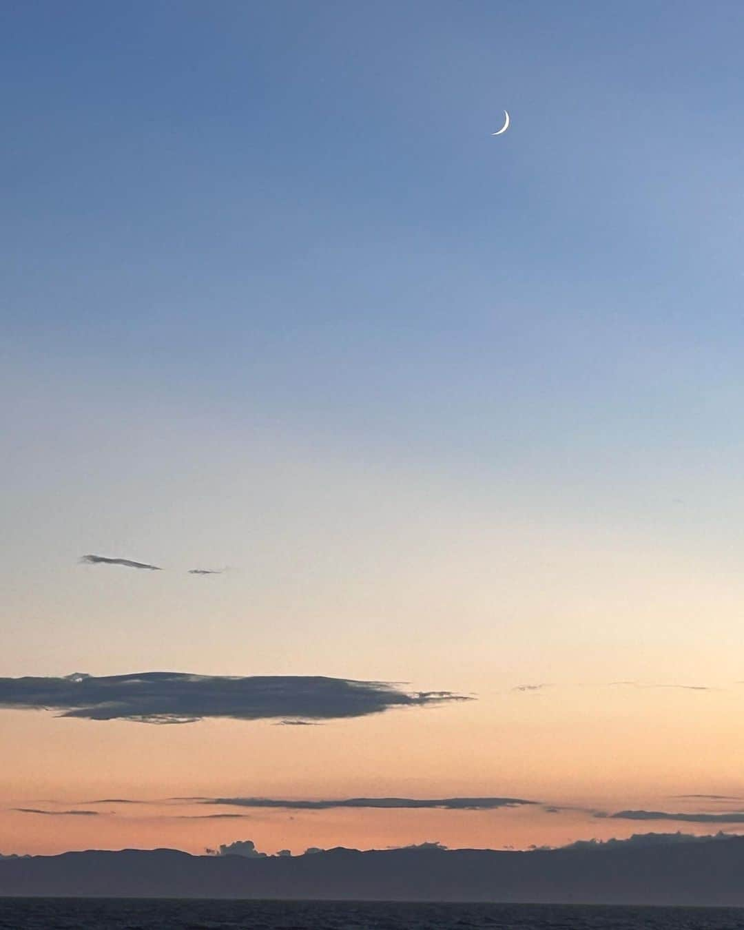 halmeのインスタグラム：「昨日の夕暮れの空が素敵だったのを忘れてた🌙 そして写真を見てびっくり😂 この生き物はなんだ⁉️ ストレス太り？ でもこの1週間　いちごは甘えるを思い出して、毎日私の上に来るのを楽しみにしてるよ💞 可愛いなぁ  環境の変化に敏感な猫 I was right 😘  #crecentmoon  #fatcat」