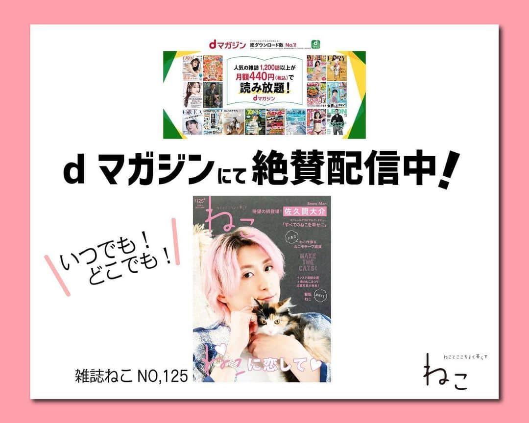 ねこのインスタグラム：「#雑誌ねこ125号  はdマガジンでも配信中です❣️  お楽しみください〜💓  #雑誌ねこ #ねこ #猫 #ねこのいる生活 #ねこすきさんと繋がりたい #ねこすたぐらむ #猫写真 #neko_magazine #cat #cats #catlover #catlife #catstagram #kat #katze #gato #kedi #猫雑貨 #猫作家 #dmagazine #佐久間大介」