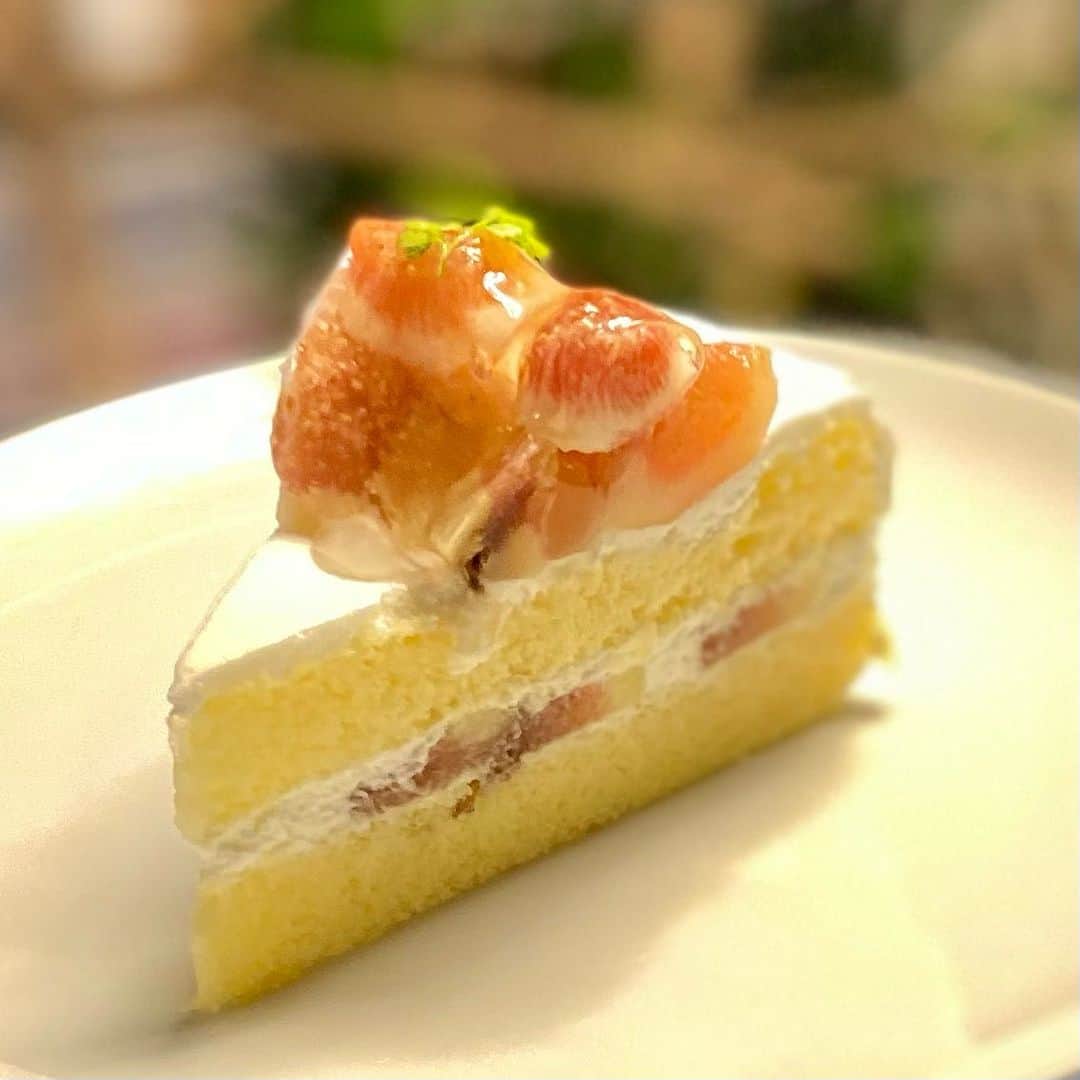 のインスタグラム：「ケーキが食べたい！  仕事終わり、無性にケーキが食べたくなった。 クリームが美味しくてふわふわのスポンジで、もちろんフルーツがのってるやつ。  セカンドハウスのショーケースにはそんな理想のケーキを具現化したようなケーキが並んでいます。  今日のチョイスは旬のいちじくが乗っかった真っ白なクリームのショートケーキ。 期待を裏切ることなくそのケーキはふわふわと私の胃に収まったのでした。  その他にもたくさんの種類のケーキがありますが、早々に売り切れてしまうこともありますので、お早めに！  最後の画像は京都のセカンドハウスで1人のんびりした時の写真です。素敵なお店でした。  【INFORMATION】  京都『セカンドハウス ケーキワークス』 ■会期：2023年9月14日（木）〜28日（木） ■場所：枚方T-SITE1階 ■時間：10:00〜20:00  #枚方tsite  #枚方tサイト  #枚方t_site  #枚方蔦屋書店  #セカンドハウス」