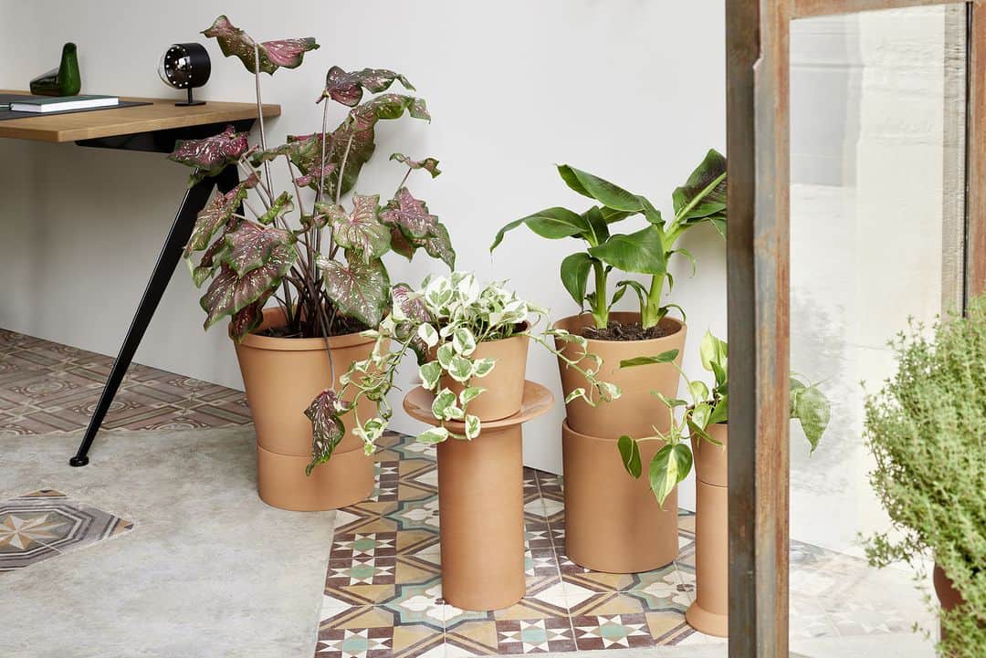 Vitra Japanのインスタグラム：「Vitra Accessories Collection フランス人デザイナー、テロニウス・グピルによる「テラコッタ ポット」発売開始   イタリア産の天然で高品質な粘土を成形し長時間かけて焼成して作られたテラコッタポット。さまざまなサイズの柱状のポットは植物を支える台座にも高座にもなり、室内での植物の存在感を高めてくれます。XS、S、M、L、4つのサイズ展開で、2つの小さなモデルはテーブルやディスプレイ台の上で、大きなMとLは床置きで使うことを想定しデザインされています。また、Sサイズは、植物に合わせて様々な飾り方ができるよう3つのパーツで構成されています。丈夫で耐水性があり、内側には釉薬がかけられ、底には排水穴が開いています。   #Vitra #VitraJapan #TeracottaPots #ThéloniousGoupil #ヴィトラ #ヴィトラジャパン #テラコッタポット #インテリア #モダンインテリア #インテリアデザイン #インテリアコーディネート #季節を楽しむ #暮らしを楽しむ #プレゼント」