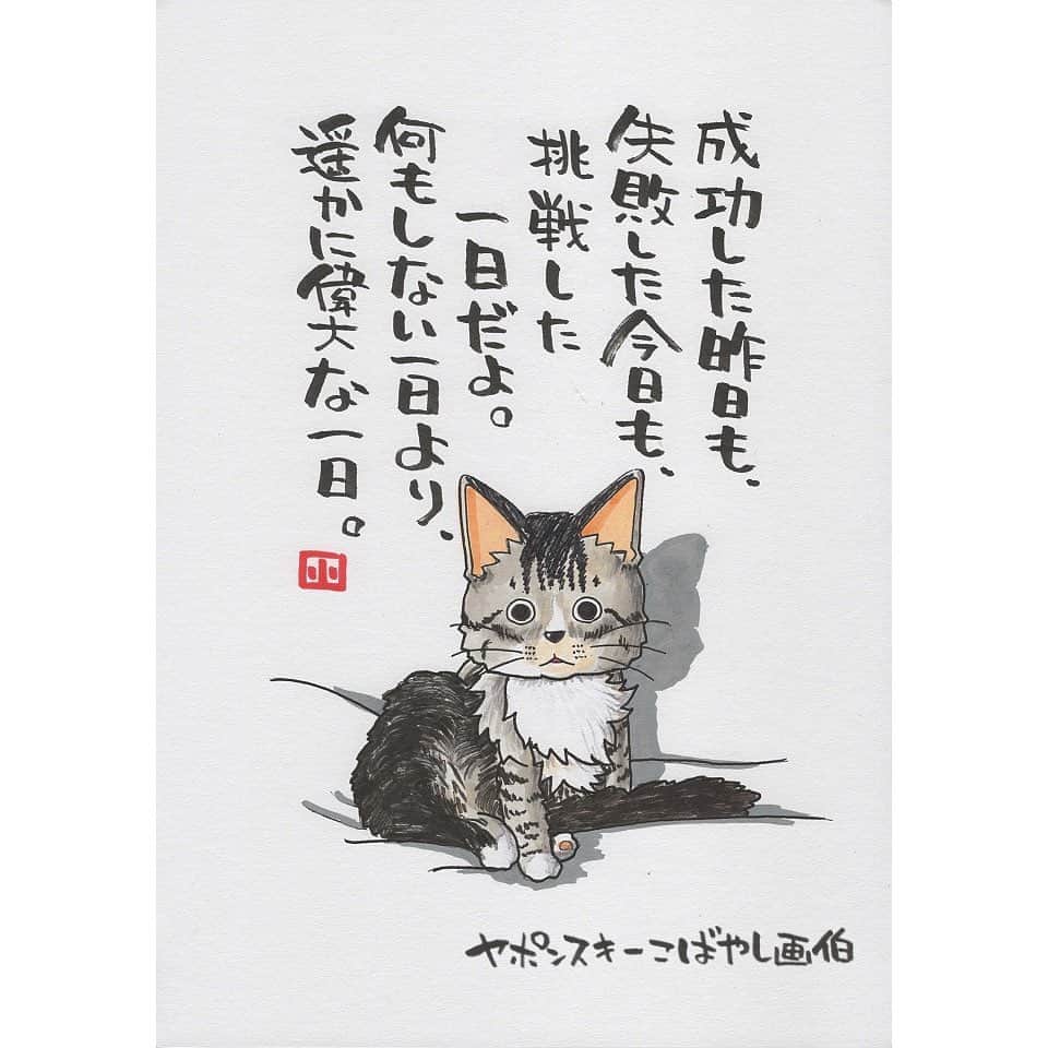 ヤポンスキーこばやし画伯さんのインスタグラム写真 - (ヤポンスキーこばやし画伯Instagram)「けもの日和 今日は猫の下僕さん家の猫 ぷぅちゃんです。 末っ子です。 ふわっふわです。 さわり心地良さそうです。 お名前を『猫の下僕』としてしまう気持ちが よく分かる写真ですね。 ありがとうございます。  イラスト #ポエム  #イラストエッセイ #エッセイ #ヤポンスキー #ヤポンスキーこばやし画伯 #こばやし画伯 #芸人 #絵 #ポストカード #詩 #アート #言葉 #言葉の力 #人生 #生き方 #イラストグラム #イラストレーター #つぶやき #可愛い #前向き #ポジティブ #癒し #名言 #格言 #けもの日和」9月19日 21時23分 - kobayashigahaku