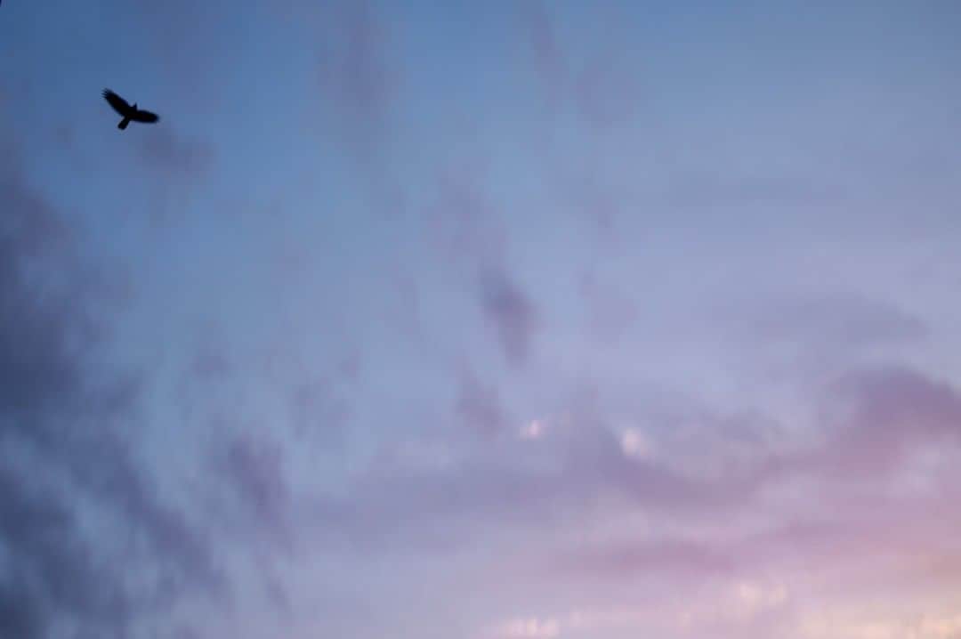 高野寛さんのインスタグラム写真 - (高野寛Instagram)「熊本の夕焼けが美しくて、ジェイムズ・ブレイクの新譜を聴きながら一時間以上写真を撮り続けた。でも、目で観た美しさの半分くらいしか写せなかった気がする。 最後、三日月も顔を出した。」9月19日 21時32分 - takano_hiroshi