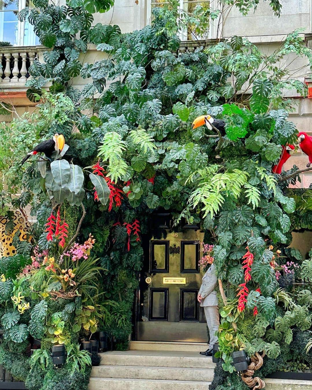 Seyda♥ Travel & Natureのインスタグラム：「Free exhibition😀 at Annabel’s🍀❤️ 🦜 #london🇬🇧 #seydauk」