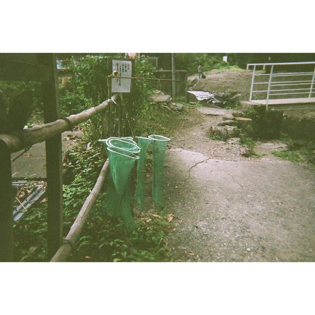 田中珠里さんのインスタグラム写真 - (田中珠里Instagram)「マス釣り行ってました🐟 もぉ幸せでした。 #ニジマス #秩父」9月19日 21時52分 - shuritanaka_official