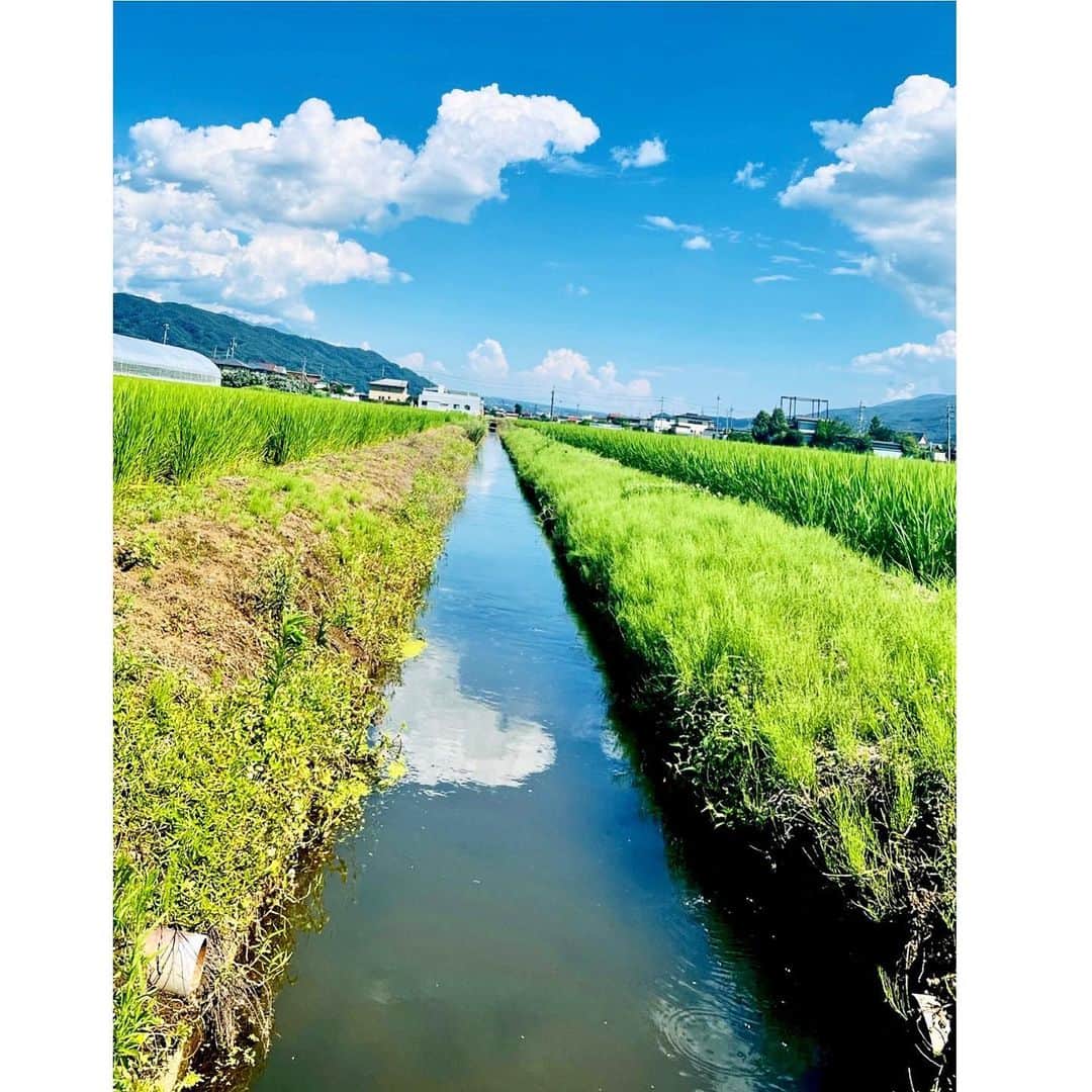 のインスタグラム：「#神戸新聞　 #コラム連載2回め #たわごと時々ざれごと  明日9月20日付の夕刊です。 読んでみてください😊  月2回の4ヶ月予定です。 （夕刊が発行されていない地域は翌日の朝刊に掲載）  #写メ なにせ載せる写真がなくて また景色😖🙇‍♀️  カメラマンすみこ🥸」