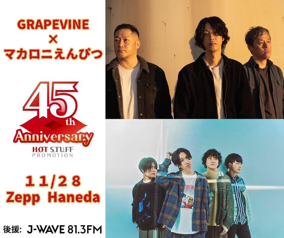 のインスタグラム：「HOT STUFF PROMOTION 45th Anniversary GRAPEVINE×マカロニえんぴつ  ★11月28日(火) 開場18:00/開演19:00  Zepp Haneda  1F立見￥6,300(ドリンク代別) 2F指定￥6,300(ドリンク代別) *お一人様4枚まで *未就学児童入場不可  問い合わせ HOT STUFF PROMOTION 050-5211-6077  後援: J-WAVE  #GRAPEVINE #マカロニえんぴつ #HOTSTUFF  #zepphaneda   *イベント詳細はインスタストーリーハイライト「チケット」をチェック！」