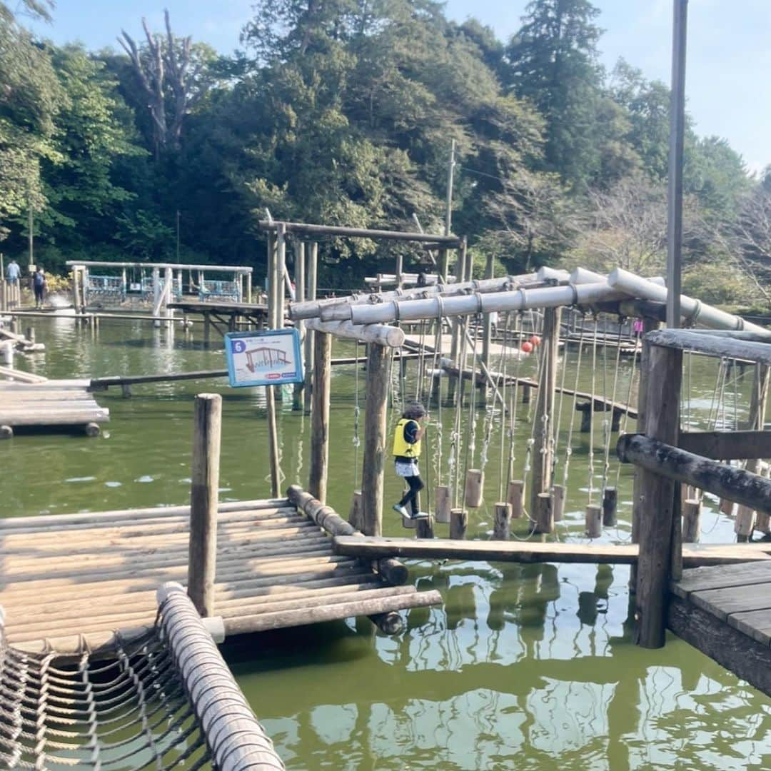 三浦奈保子のインスタグラム：「水上アスレチックで有名！な  清水公園に行ってきました😆  大人でも難易度の高い 水上アスレチック...!!  小学生以上の子から挑戦できる！ということで、 下の子も小1になった 満を持してのタイミング🫡  うちの子たちは 何度もドボンと 水に落っこちて、  かなりライフジャケットのお世話になりました🤣🤣  大人は、、  あっこれ無理だ！ というアスレチックは、  無理な人用板で そのアスレチックだけ ワープすることができる  やさしさ設計🥹🥹  だったのですが、  その板すら 何度もバランスを崩して 落ちかけました🤣  が、意地で無傷生還..!!🫡  そしてそんな状態でも、 翌日の筋肉痛はひどいです🤣  大人もとっても楽しめるアスレチックなので、  ぜひ行ってみてください😆✨  水上コースの他にも  冒険コース、 チャレンジコースなど  サスケ気分が味わえる アスレチックが満載です😉  我が家も 全ては行ききれなかったので、 鍛えて再訪します💪‼️  #清水公園　#スポーツの秋　#千葉 #アスレチック　 #関東お出かけスポット  #子育て　#子育て日記　#子育てママ #小学生　#幼稚園 #子どもとお出かけ #家族でお出かけ #知育　#育脳　#勉強　#学習  #お出かけスポット #夏休み  #楽楽知育 #知育体験　#受験　#中学受験  #お出かけノート　#中学受験2025年組 #中学受験2026年組 #中学受験2027年組 #中学受験2028年組」