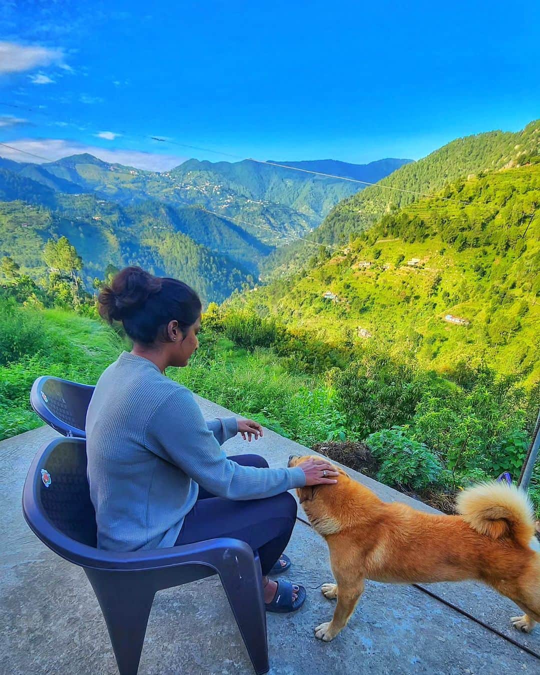 Nikonさんのインスタグラム写真 - (NikonInstagram)「A Beautiful Memory 💚  #uttarakhand #mountains #dog #travel」9月19日 14時11分 - the.annette.stories