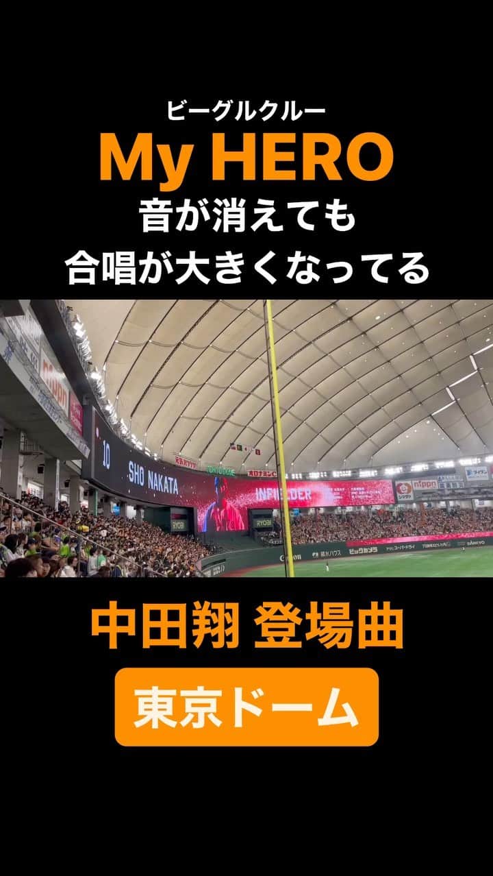 YASSのインスタグラム：「東京で、ジャイアンツファンの方にも浸透してきてて嬉しいなぁ。 東京ドームで歌いたいなぁ。  #東京ドーム #読売ジャイアンツ #読売巨人軍  #中田翔 #登場曲 #ビーグルクルー #myhero」