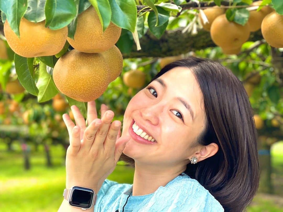 渕上沙紀のインスタグラム：「イイね！チャレンジ✨  梨渕🍐  目指せ7400イイね。 ナシだけに。  今日のBUTSUBUTSUもどうぞよろしくお願いします！！✨  #butsubutsu #梨渕 #イイね！チャレンジ #世羅大豊農園」