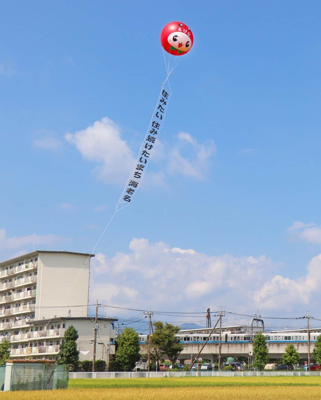 海老名市さんのインスタグラム写真 - (海老名市Instagram)「９月17日まで開催されていた「第31回中新田かかしまつり」。 黄金色に染まる田の上をえび～にゃのアドバルーンが優雅に浮かびました🎈  📷 #好きです海老名 写真募集に、ぜひご応募ください！ 詳しくは、@ebina_officialのプロフィールより、公式サイトをご覧ください。 ご応募、お待ちしています！  #好きです海老名 #住みたい住み続けたいまち海老名 #海老名 #神奈川 #ebina #写真募集 #写真 #募集 #秋 #中新田 #かかし #かかしまつり #田んぼ #アドバルーン #海老名の秋」9月19日 15時44分 - ebina_official