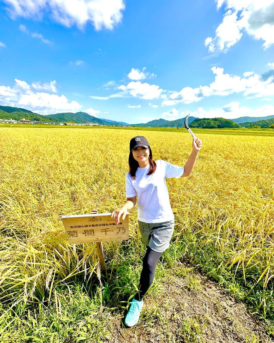 菊間千乃のインスタグラム：「連休最終日、京都の与謝野町で稲刈りしてきました。刈る前なので、元気いっぱい😄」
