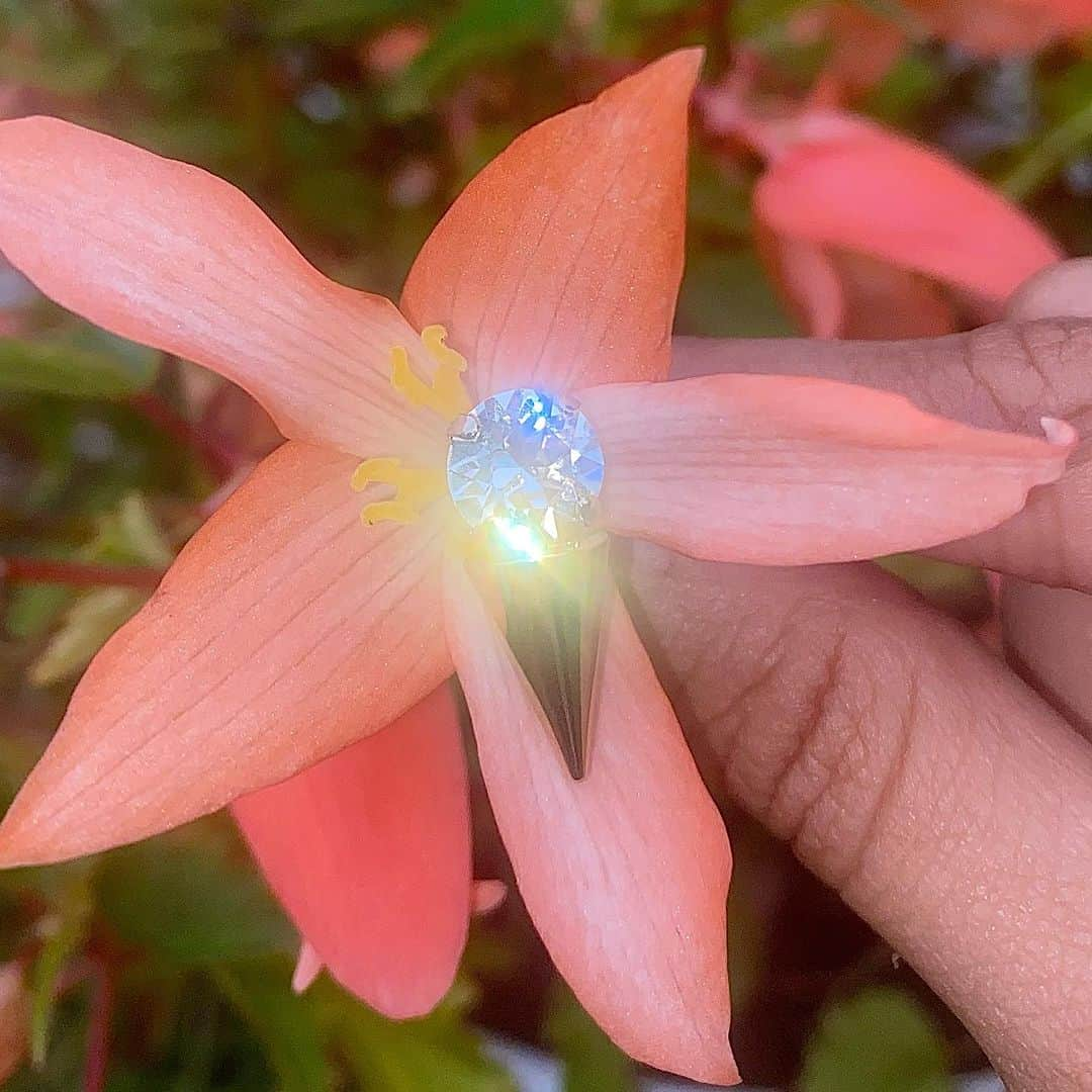 Justine Clenquetさんのインスタグラム写真 - (Justine ClenquetInstagram)「Casper earrings🌺 #justineclenquet」9月19日 16時21分 - justineclenquet