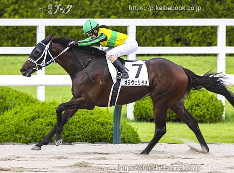 古川奈穂のインスタグラム：「土曜日、日曜日と阪神競馬場で騎乗させて頂きました。 乗せてくださった関係者のみなさま、応援してくださったみなさま、ありがとうございました。  私の中で9月は秋という認識なのですが、まだまだ暑さの残る週末でした😅 金木犀が香るまで秋は我慢します…🍁  日曜日の8Rをオラヴェリタス号で勝たせて頂きました。 関係者の皆様、ありがとうございました🙇‍♀️ 最後まで踏ん張ってくれたオラヴェリタス号、遅めの誕生日プレゼントをありがとう☺️  今週も宜しくお願いいたします🏇  (写真は競馬ブックさんよりお借りしました🙇‍♀️)  #阪神競馬場  #オラヴェリタス   #秋 はまだ先か…」