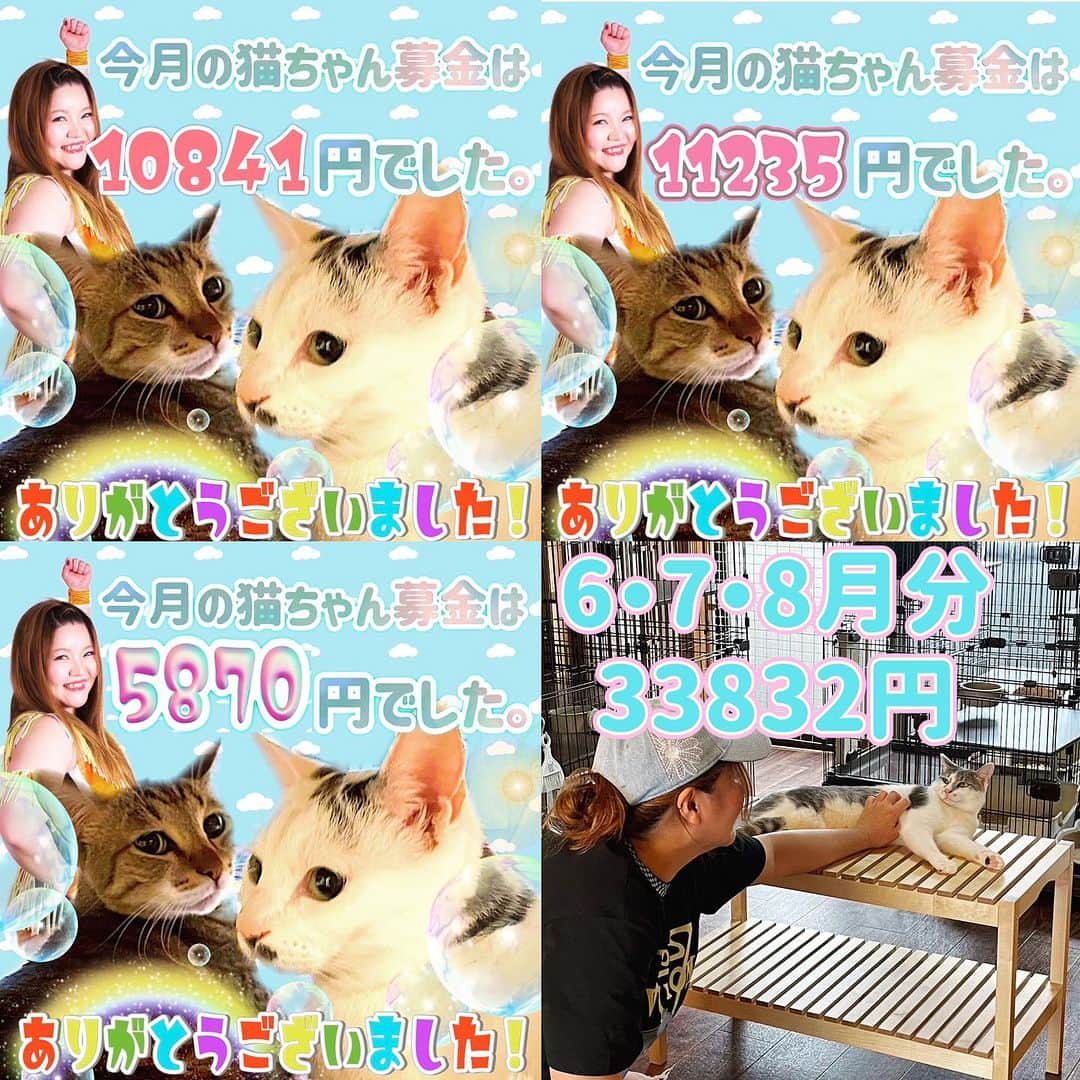 マリ卍さんのインスタグラム写真 - (マリ卍Instagram)「ストーリーズではご報告したのですが そのまま投稿してなくてすみません。遅くなりました… 今月6日に皆様からお預かりした #猫ちゃん募金 (6・7・8月分計35000円)は、無事に『忍者猫カフェ猫影』様にお届けしました🐈❤️  皆様ご協力ありがとうございました。  @nekokage_gifu   ちなみに、この活動を始めようと思った経緯は長すぎて載せれませんが 自分の5周年の時のパンフレットには書いてあるとおり… 今の私があるのは むぅといなりのおかげだからです\( ¨̮ )/ 自分と向き合うきっかけをくれたのがうちのチビ達！ たくさんの猫ちゃん達が良きご縁に繋がりますように！  #ねこ #猫 #保護猫 #岐阜県 #岐阜市 #柳ケ瀬 #柳ケ瀬プロレス #Ladius #joshipuroresu #prowrestler #followme #joshipuro #prowrestling #wrestling #wrestler #女子プロレス #プロレス #猫影 #忍者ねこカフェ猫影 #忍者ねこカフェ」9月19日 17時13分 - manji_0415