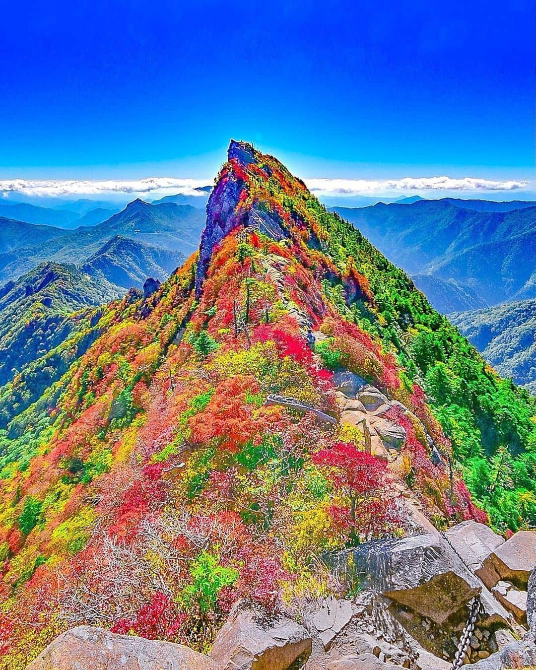 JALのインスタグラム：「. 鮮やかな木々のグラデーションが美しい✨ 愛媛県 石鎚山 #天狗岳 👺 #SeptemberMyWay . . Photo by @sanbonsuge1986 Post your memories with #FlyJAL  #JapanAirlines #JAL #travel #愛媛 #愛媛旅行 #石鎚山 #グラデーション #紅葉 #紅葉スポット #登山 #山頂 #山スタグラム #絶景 #絶景スポット #日本 #日本の絶景 #国内旅行 #旅行 #日本航空」