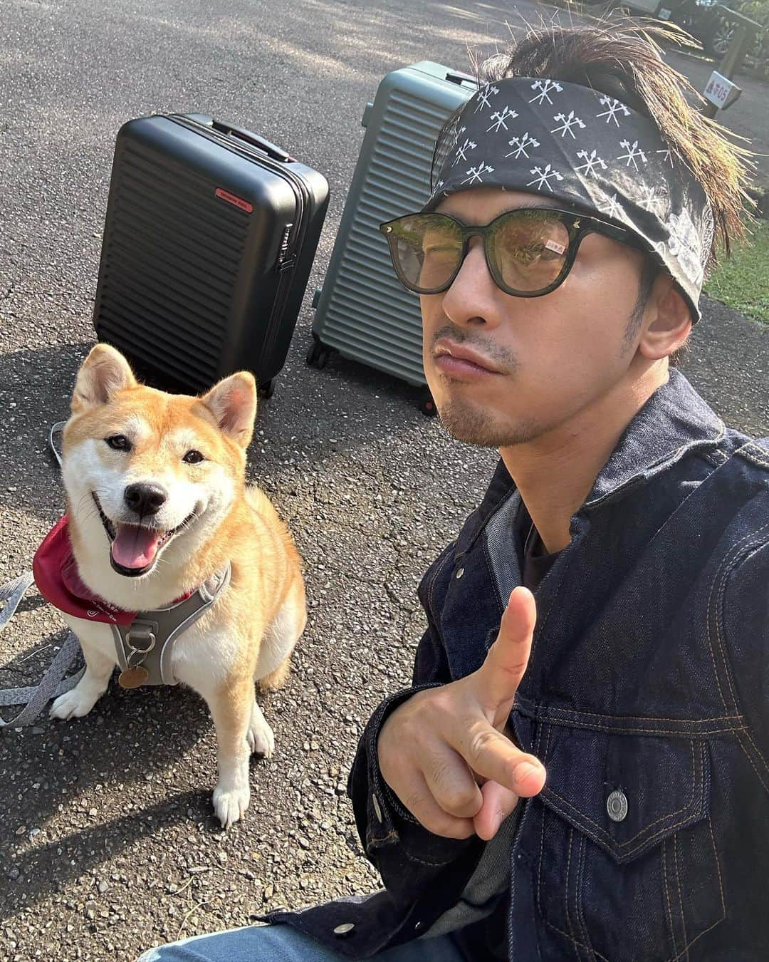 チェン・ボーリンさんのインスタグラム写真 - (チェン・ボーリンInstagram)「Outdoor Day with @afuriinu 🐾🐕🏕️☀️ Super chill super chill 🤙🏻✨」9月19日 17時31分 - chenbolin