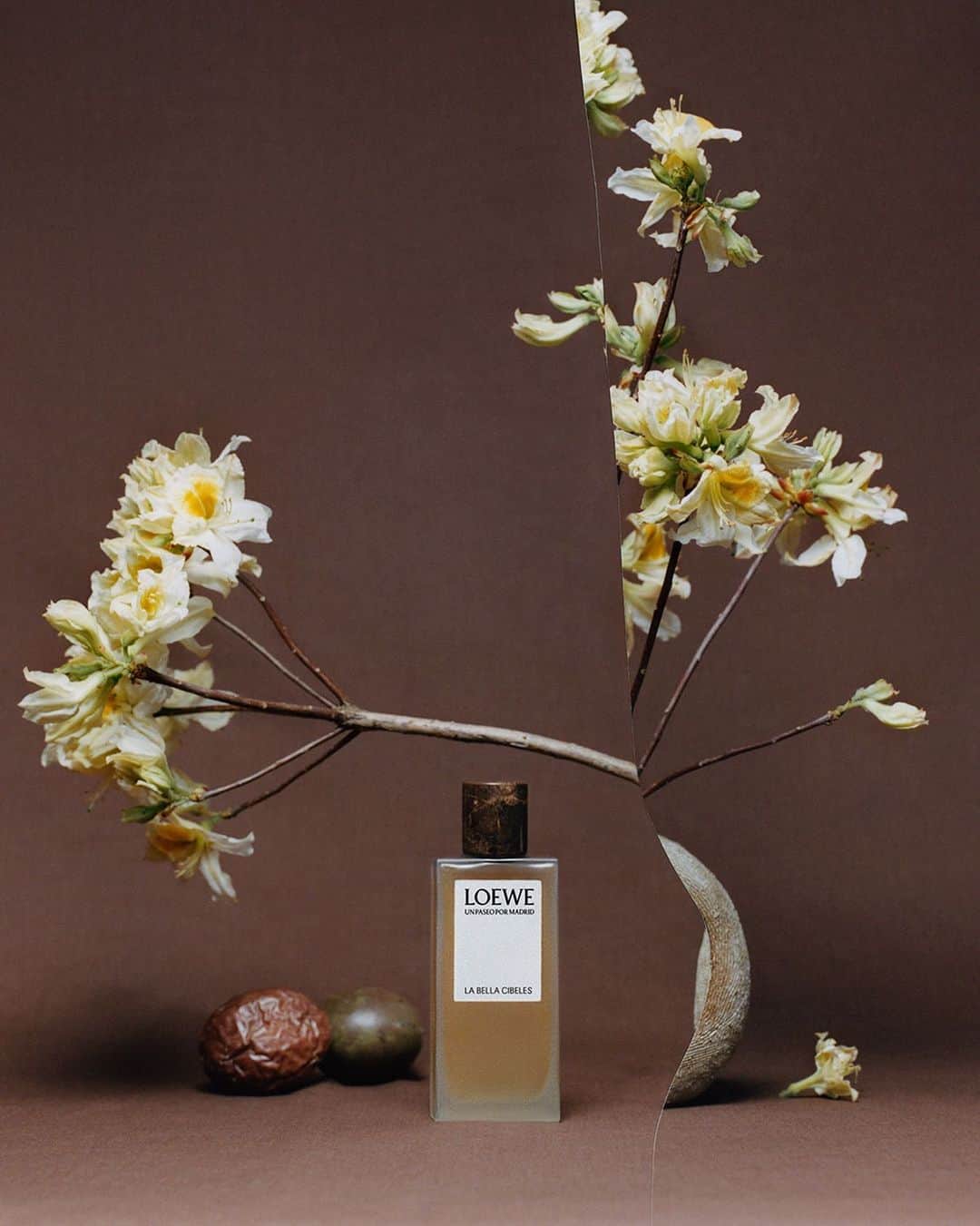 Loeweのインスタグラム