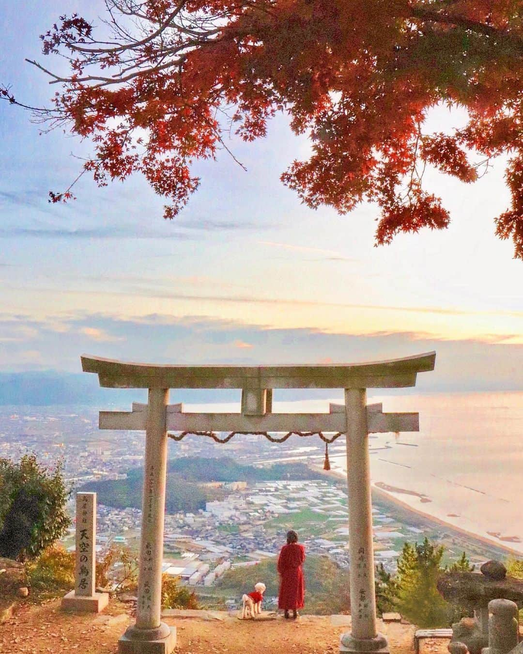 ジェットスター航空のインスタグラム：「"行きたい！と思ったら【⛩】をコメント！ “次に行きたい”が見つかる#jettabi_japan #香川編 ★ 紅葉と絶景を同時に楽しめる🌅 #高屋神社   香川県にある高屋神社は、標高404メートルの稲積山の頂上にあり、「 #天空の鳥居 」が四国八十八系に選出されたことで有名な県内随一の絶景スポット👼💫    270段の石段を登り切ると、市街地と瀬戸内海を一望できる天空の鳥居がお目見え🌊✨ 秋には、真っ赤な紅葉と眼下に広がる景色を同時に楽しめます✨ 道中には運が良ければ野ウサギにも出会えるのだとか🐰💞   一年を通して人気のスポットですが、美しい紅葉と鳥居越しに見える青空のコントラストを見られるのはこの時期ならでは。せっかくなら紅葉が鳥居を美しく飾る秋に訪れてみて🎶   【高屋神社】 📍香川県観音寺市高屋町2800     -------------------------------------------- ／ 📣ジェットスターなら、高松まで ＼ ✈︎東京（成田）から 片道¥4,990〜 --------------------------------------------   ジェットスター・ジャパン公式アカウント（@jetstar_japan）では「“次に行きたい”が見つかる」をテーマに就航地の魅力をご紹介✈️⭐️「#jettabi_japan」をつけて、皆さんのFun&Happyな旅の思い出をぜひご投稿ください！素敵なお写真は、公式アカウントでご紹介させていただきます♪   ⭐️Special thanks📸 by @hachinosukekun（1枚目） / @akimrn（2枚目） / @tomo1026m（3枚目） / @satomin.photos（4枚目）  --------------------------------------------   ※運賃はエコノミークラス「Starter」。支払手数料、空港使用料等が別途必要です。受託手荷物の料金は含まれません。諸条件が適用されます。 ※就航地のご紹介内容に関する最新情報は、下記の参照サイト等でご確認ください。  -------------------------------------------- 【参照サイト】 観音寺市ホームページ --------------------------------------------  #香川 #香川観光 #香川旅行 #ジェットスター #jetstar #jetstar_japan #LCC #飛行機 #trip #旅好きな人と繋がりたい #観音寺市 #国内旅行 #四国の絶景 #香川デート #kagawajapan #コスパ旅 #女子旅 #香川絶景 #絶景神社 #紅葉スポット #紅葉狩り #秋スポット」