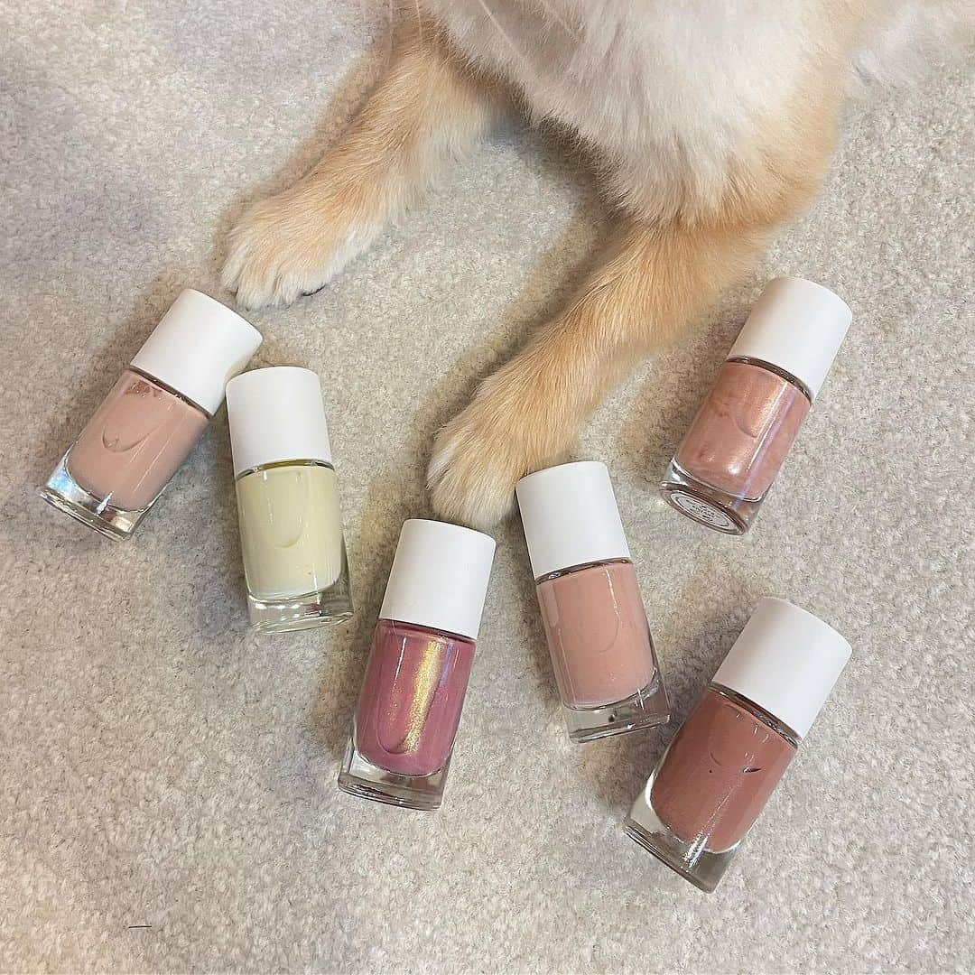 のインスタグラム：「・ ⁡ #愛してやまないnail nailmatic 🐶♡ @nailmaticjapan_woman @nailmatic ⁡ NM ピュアカラー ⁡ 発色がよくて伸びがいいテクスチャー！ 幅広でラウンドした刷毛が綺麗にぬれる！💅 ⁡ 乾くのも早くてお気に入り〜💫💫 ぜひチェックしてみてね〜❣️ ⁡ #nail#nails #hairmake#make#hair#きべヘアー#きべメイク#🍡」