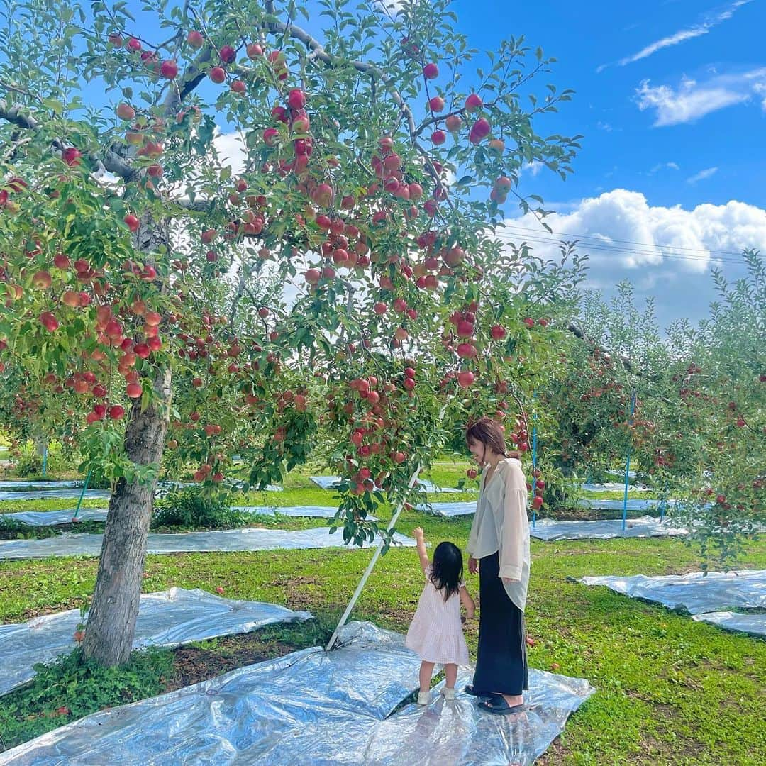 新倉真奈美のインスタグラム：「🍎  りんご畑へ  りんごは時期がちょっと早かったので プルーンを収穫🫐  白神山地にある青池にも連れて行ってもらい 深い緑の中にある神秘的な ブルーの色味に感動しました🌏  東京では見れない大自然の景色を沢山見れて チャージ出来たのでまた明日からお仕事 頑張ります✨」