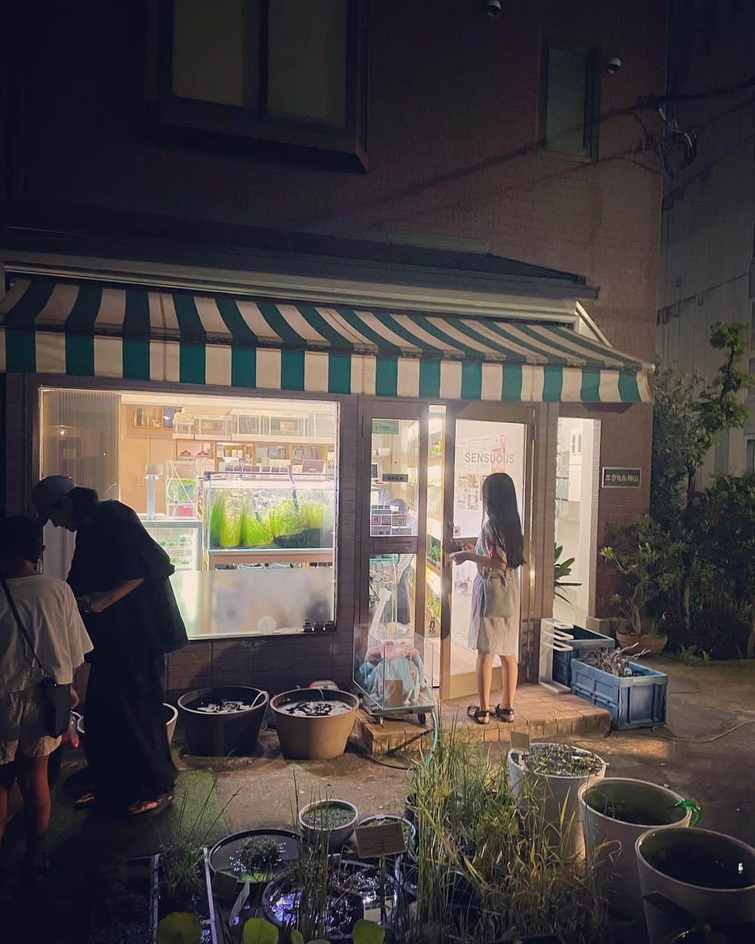 竹下玲奈さんのインスタグラム写真 - (竹下玲奈Instagram)「金魚を育てる為に必要な知識はプロに聞くのが1番👂✨ SENSUOUSへ #sensuous」9月19日 18時19分 - renatakeshita