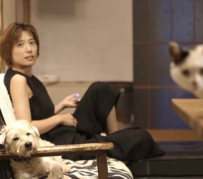 甲斐麻美さんのインスタグラム写真 - (甲斐麻美Instagram)「🫣🫣🫣  実は イチもいました😚♨️  この時のkaicoヘロヘロ😶‍🌫️😶‍🌫️😶‍🌫️です。  #20230919 #kaicoの好日 #犬と猫のいる暮らし」9月19日 18時13分 - kaico_asami