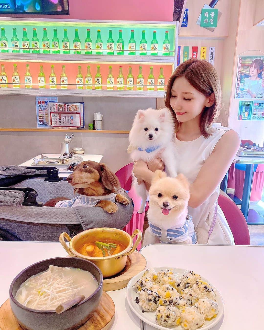 airiのインスタグラム：「⁡ 安定のヨンチャンプルコギ🇰🇷" ⁡ カラフルで可愛い店内なのに設定ミスって 白くなってしまっていたーーー😭💭 ⁡ #いぬすたぐらむ #いぬのいる暮らし  #いぬのいる生活 #犬のいる暮らし  #犬のいる生活 #愛犬家 #愛犬 #ポメ #ミニチュアダックスフンド #多頭飼い  #ミニチュアダックス #ポメラニアン  #犬とお出かけ #ポメラニアンパピー #子犬 #パピー #パピー犬 #ポメラニアン子犬 #ヨンチャンプルコギ #新大久保ランチ」
