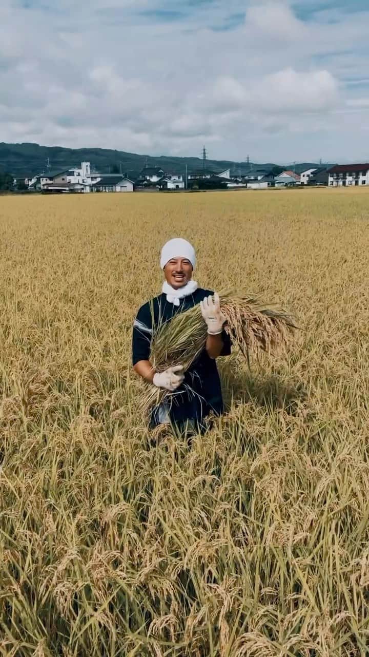 中村貴之のインスタグラム：「今年も無事にお米を収穫する事ができました🌾 今年は親父のアドバイスを受けながら自分でお米を育ててみて、さらに農業に興味をもってしまいました。 「作って食う」って簡単ではないけれど、めちゃくちゃ最高だなって思いました。笑 手伝ってくれる嫁さん @reikanozawa にも感謝❤️  9月23日土曜日に小諸駅前のまちたね広場にて小諸マルシェが開催されます。そこで新米を販売しますので、よかったら遊びに来てください☺️🌾 詳細はまた告知します✌️」