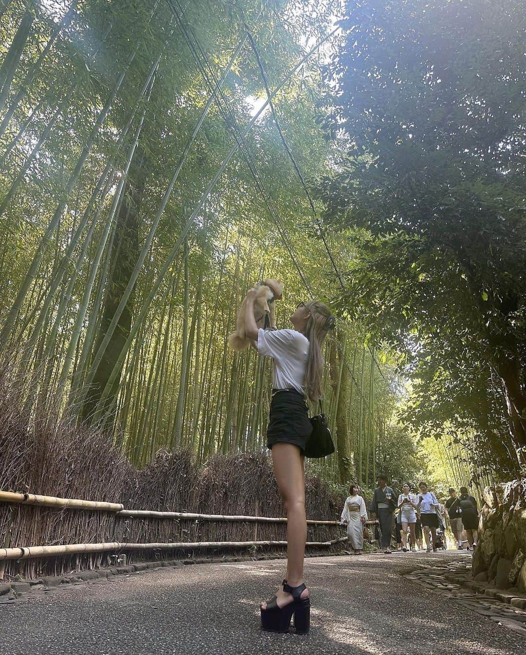横田未来さんのインスタグラム写真 - (横田未来Instagram)「アロと京都にお散歩してきた🥹🥹 嵐山たのしかった>_< ✌️」9月19日 19時07分 - mirai_yokoda