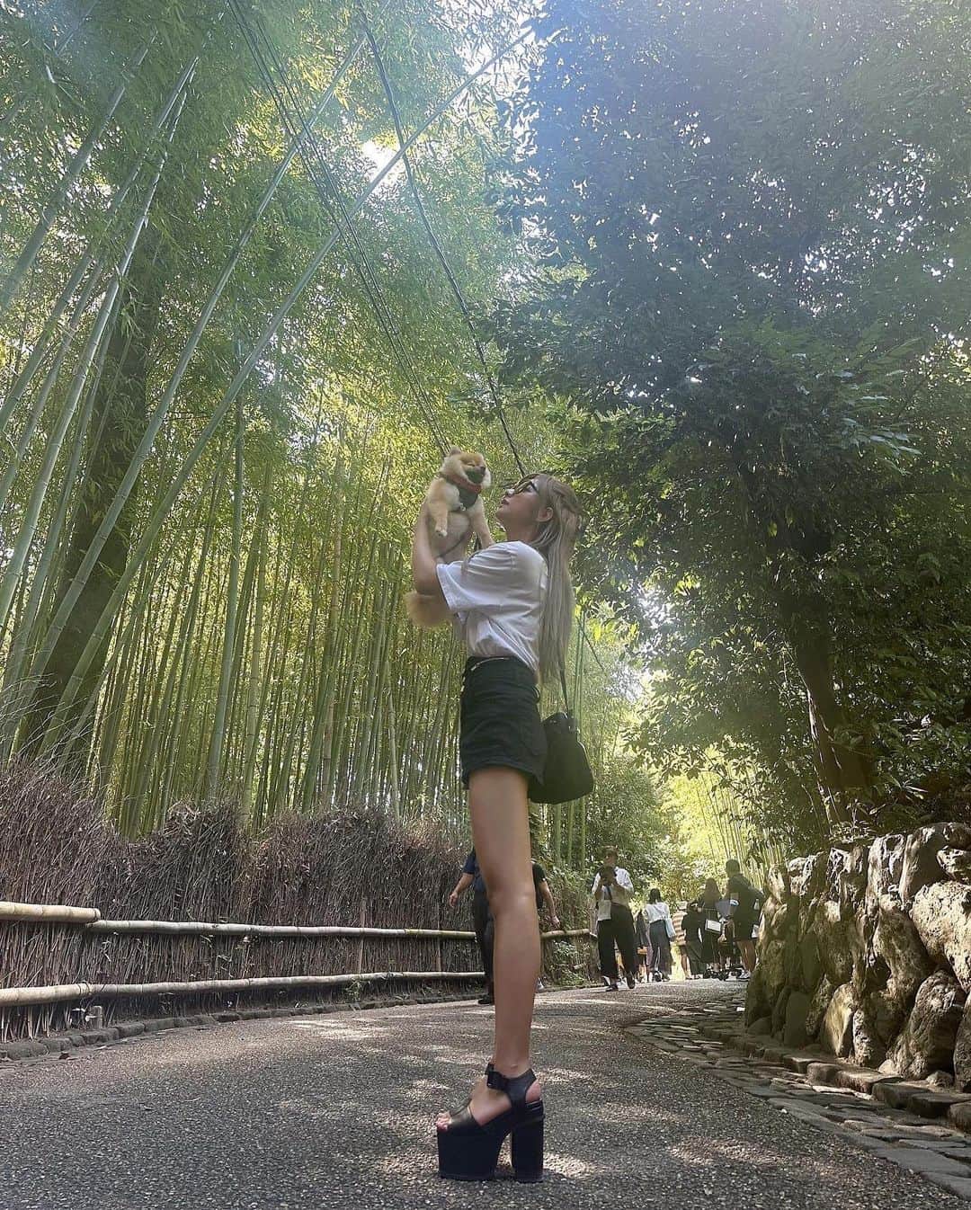 のインスタグラム：「アロと京都にお散歩してきた🥹🥹 嵐山たのしかった>_< ✌️」