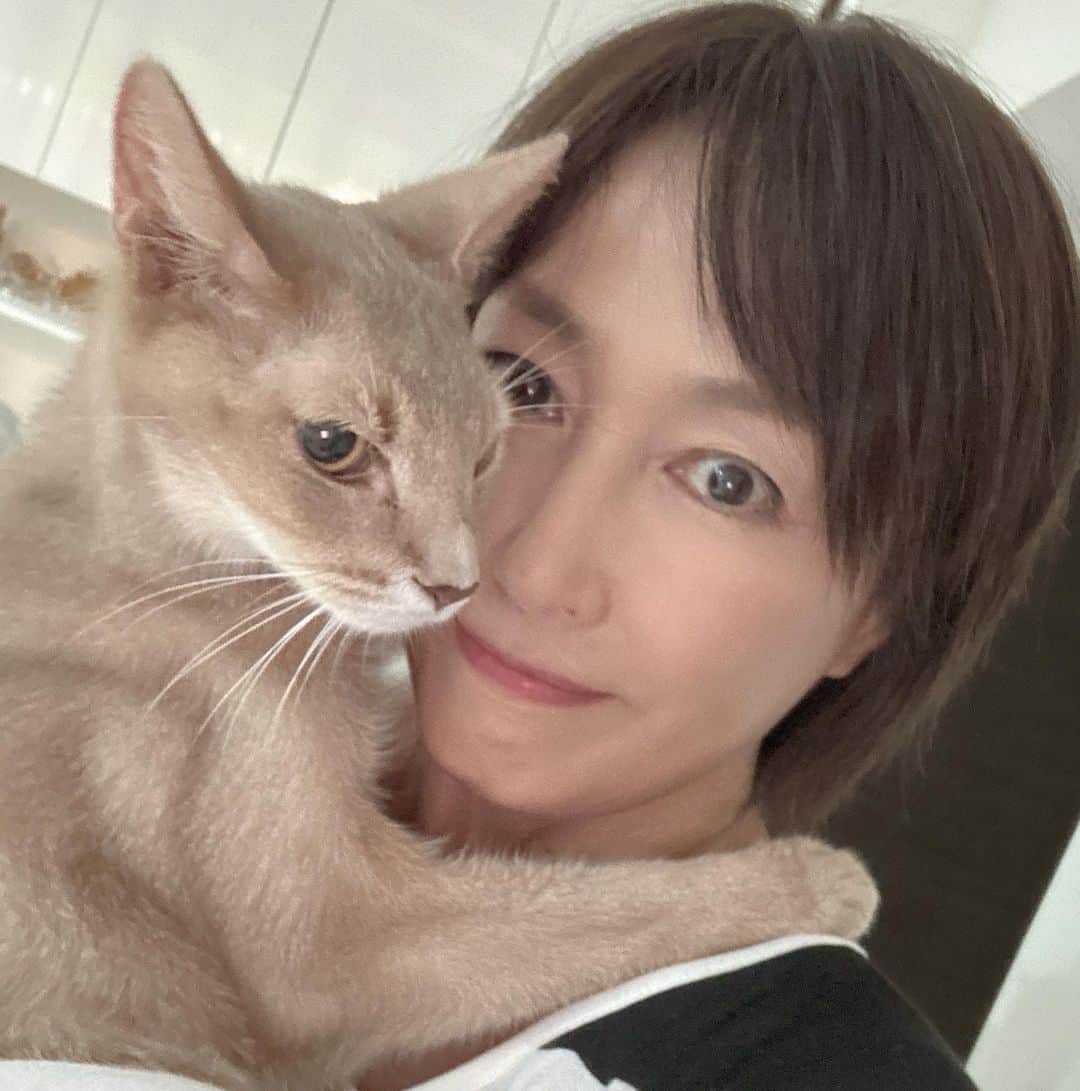 高島礼子さんのインスタグラム写真 - (高島礼子Instagram)「一緒にInstagram見てて写真に切り替えてからの頭突き🐈  #猫との時間 #猫との暮らし  #癒しの」9月19日 19時09分 - reico.official