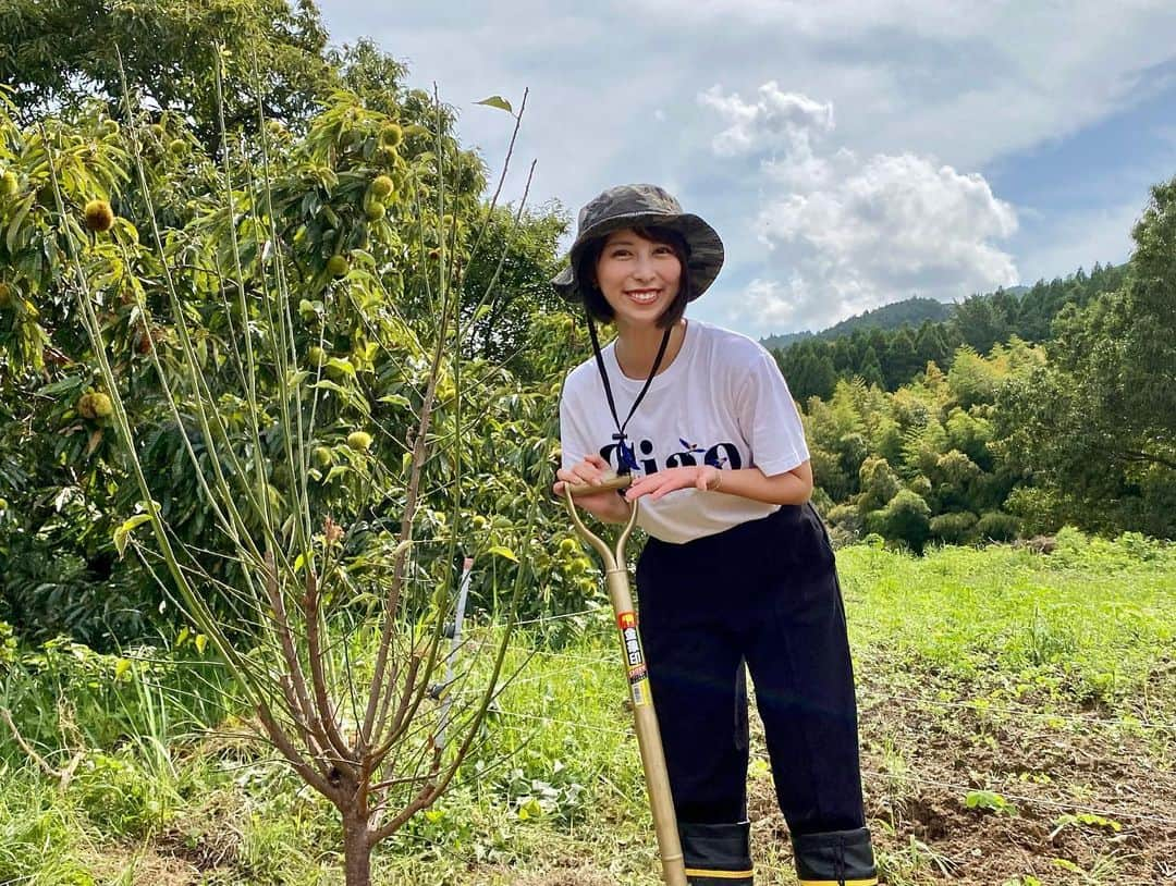 太田えりなのインスタグラム：「.  なんと！！！  ちぎりファームの生島さんに招集され、何も聞かされずに行ったらサプライズが✨✨  今年の8月11日に放送されたKBC『水と緑の物語』の特番で"アサデス。ふぁーむ"企画を担当させていただいたんですが、番組のフィナーレで梅の木を植樹するはずが熱中症になってしまい最後の中継が出来なかったんです💦  それが心残り過ぎて悔しくて、そんな私の気持ちをくんで生島さんや安井さんが梅の木をもう一本用意して待ってくれていました😭  無事、本日私も植樹をして締めくくることができました🌿  心がジーンと温かくなって、帰りは凄く幸せな気持ちでした♪  そして、今日ちぎりファームには麻美さんが連れて行ってくれました☺️ 2人でドライブして道の駅に寄ってお買い物してリフレッシュ出来た1日でした✨  . .  #アサデス#KBC #水と緑の物語#農業女子  #アサデスファーム#農業#植樹#ちぎりファーム#基山#梅の木 #農業ガール#農業体験#佐賀」