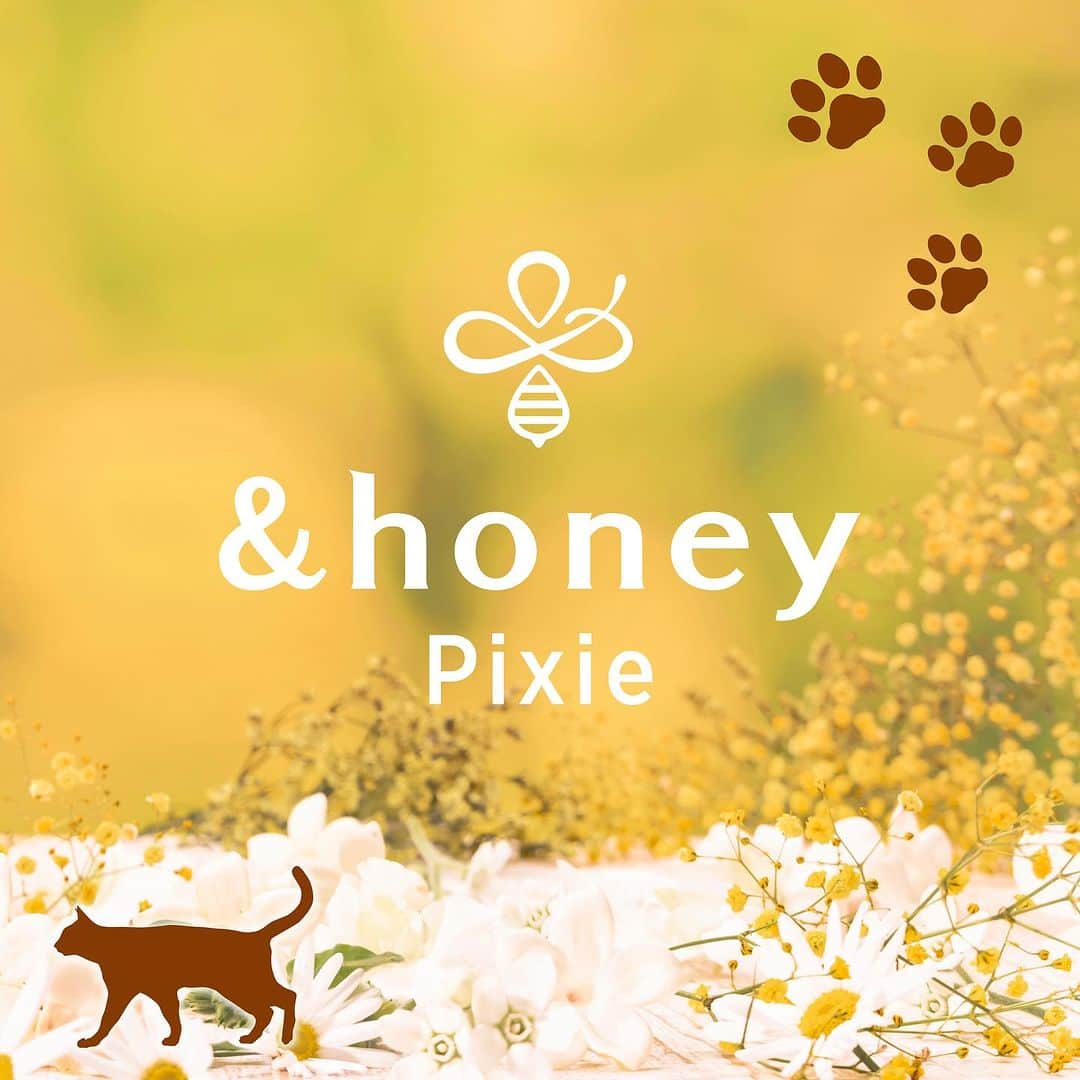 &honeyさんのインスタグラム写真 - (&honeyInstagram)「＼&honey ピクシー 9/27(水)より新登場🧚✨／  髪のパサつき・猫っ毛が気になる方におすすめの&honey ピクシーが登場🐱💛  シリーズ史上最も軽く、 サラサラ髪に仕上がります！ ボトルには可愛い隠し要素も👀💕  ぜひ店頭でcheckしてみてください！✨  #andhoney#アンドハニー#はちみつ美容#うるつや髪 #オーガニックシャンプー #オーガニックヘアケア #シャンプー#トリートメント#はちみつシャンプー #ヘアケアグッズ #ヘアトリートメント #ドラコス」9月19日 20時00分 - andhoney_japan