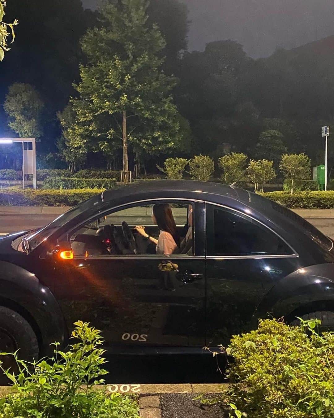 柴田ひかりのインスタグラム：「🌚💫🌳」