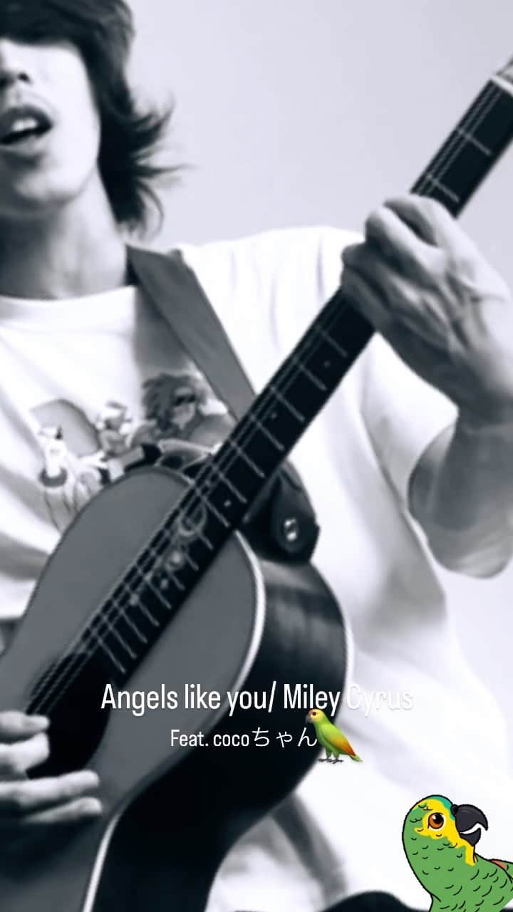 ReNのインスタグラム：「いいところで被せてくる🦜 . . . #歌ってみた #AngelsLikeYou  @mileycyrus  #renscoversession #弾き語り」