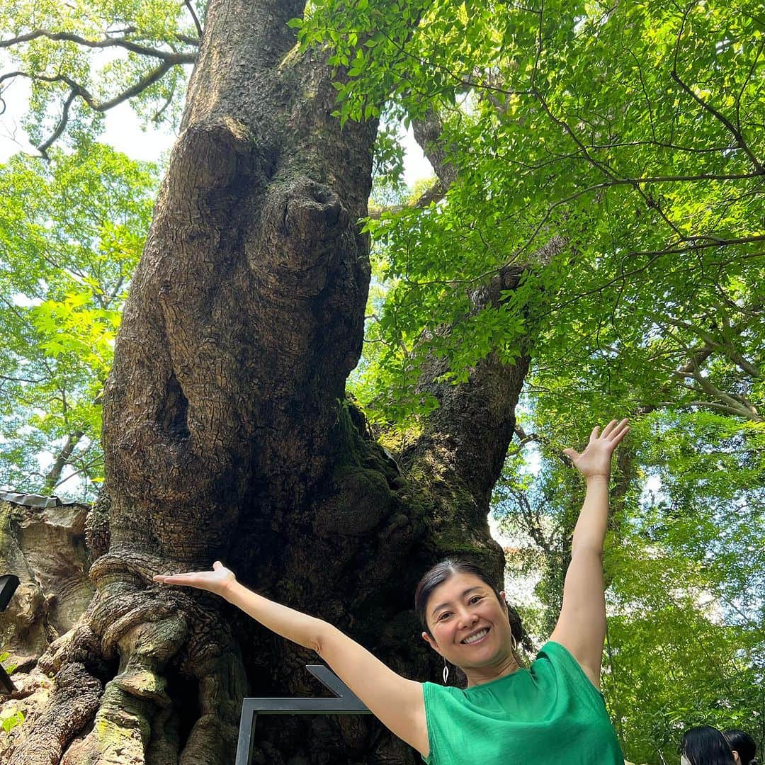 間々田佳子さんのインスタグラム写真 - (間々田佳子Instagram)「先日ショートトリップ ドライブ🚗  大きな木🌲 大自然のエネルギー いただきました💕  顔の筋肉からココロを整えることもできる 大自然からココロを整えることもできる 食からココロを満足させることも大切😍  #間々田佳子 #表情筋研究家 #ドライブスポット」9月20日 6時53分 - yoshiko.mamada
