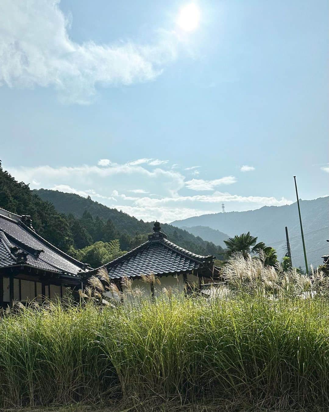 山崎陽子さんのインスタグラム写真 - (山崎陽子Instagram)「薄 丹波市青垣町、丹波布の里へ。 ーこの縞模様誰に伝えんー 愛する丹波布、木綿の味を感じ取る。 #kimono #生紬 #しょうざん生紬  #丹波布#八寸帯 #イラズムス千尋  #かよの丸ぐけ#久留米絣の丸ぐけ  丹波布の着物は、暑さゆえ断念…」9月20日 7時12分 - yhyamasaki